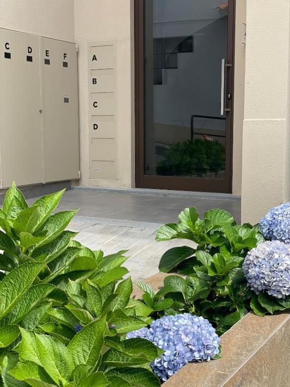 Valhalla Madeira Apartements