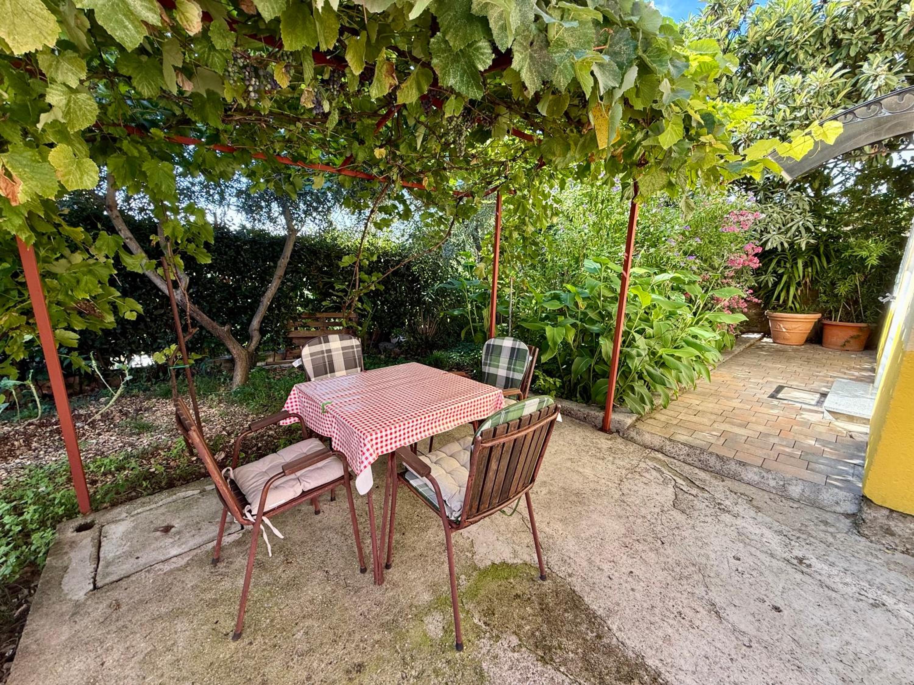 Apartmani Ruža
