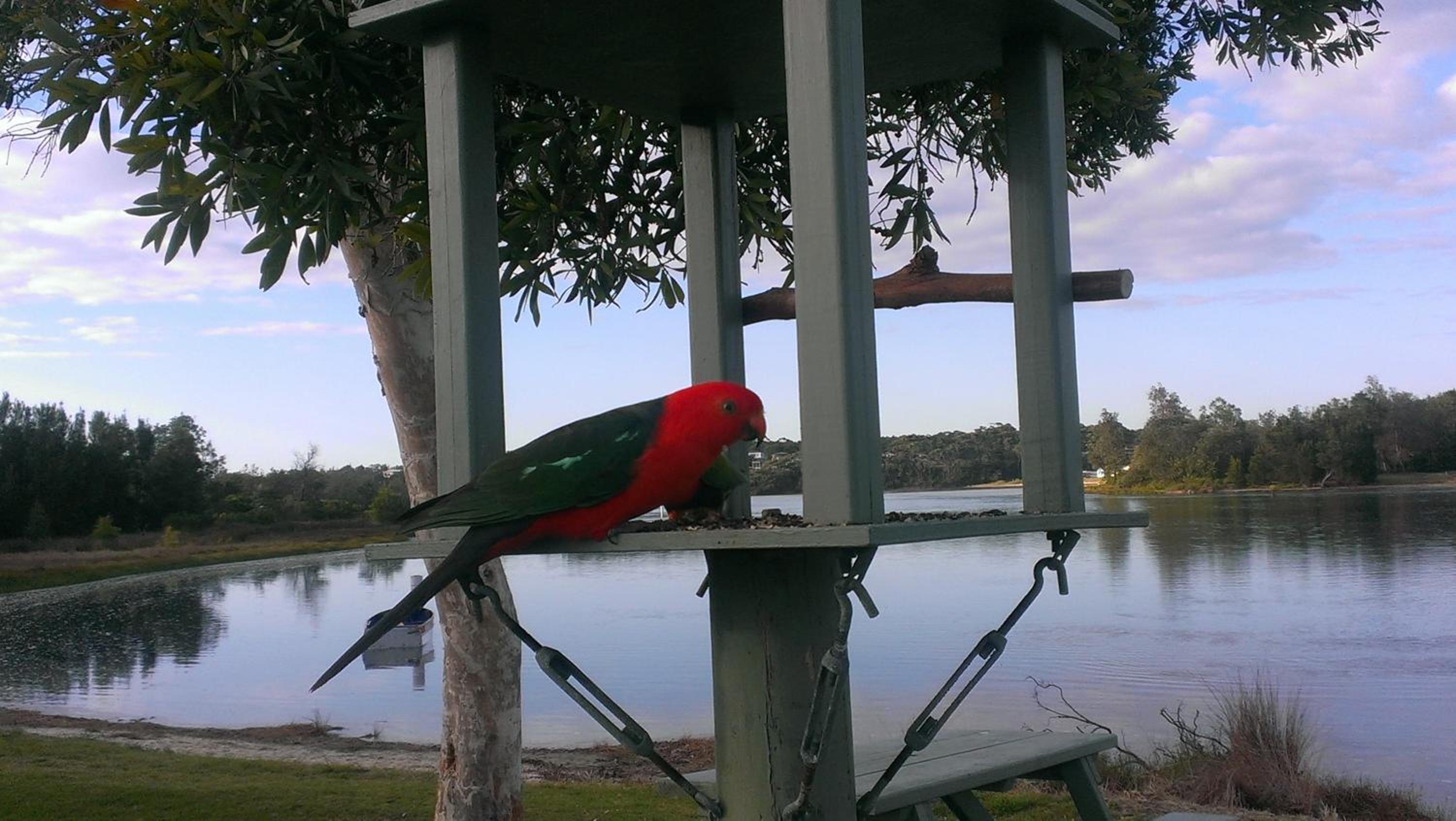 Holiday Haven Burrill Lake