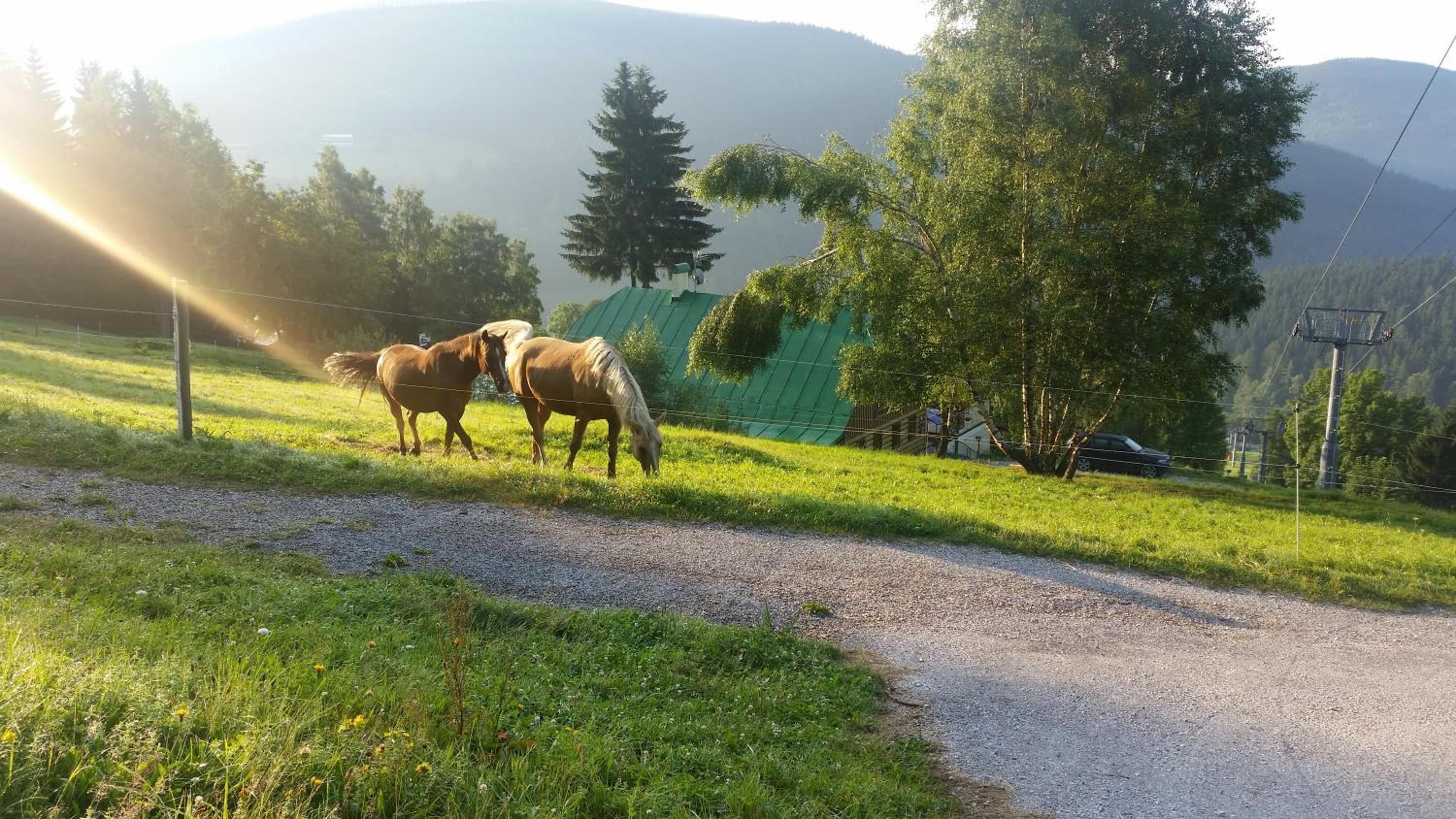 Penzion Alenka