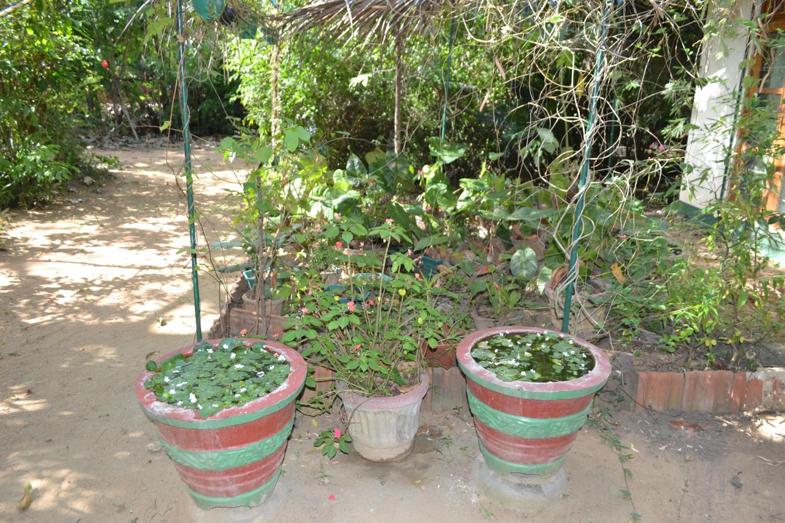 Photo 28