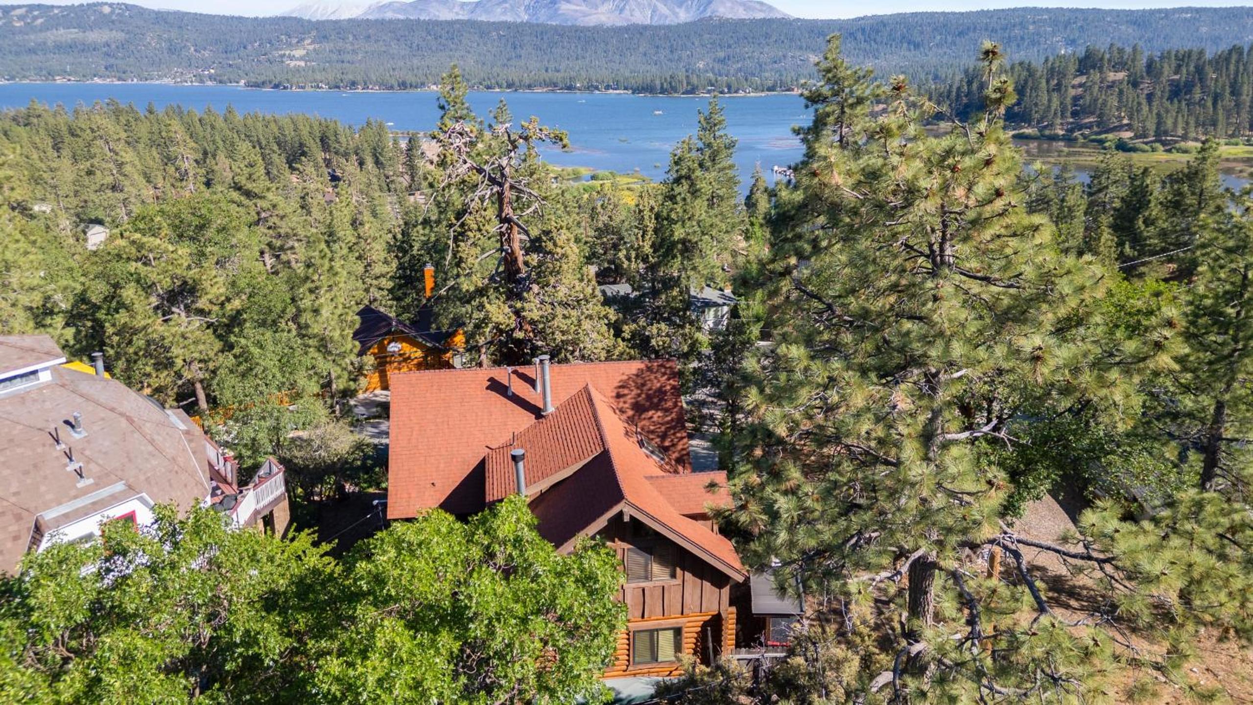 Big Tree Lodge Cozy Cabin w Firepit Piano Bar Deck