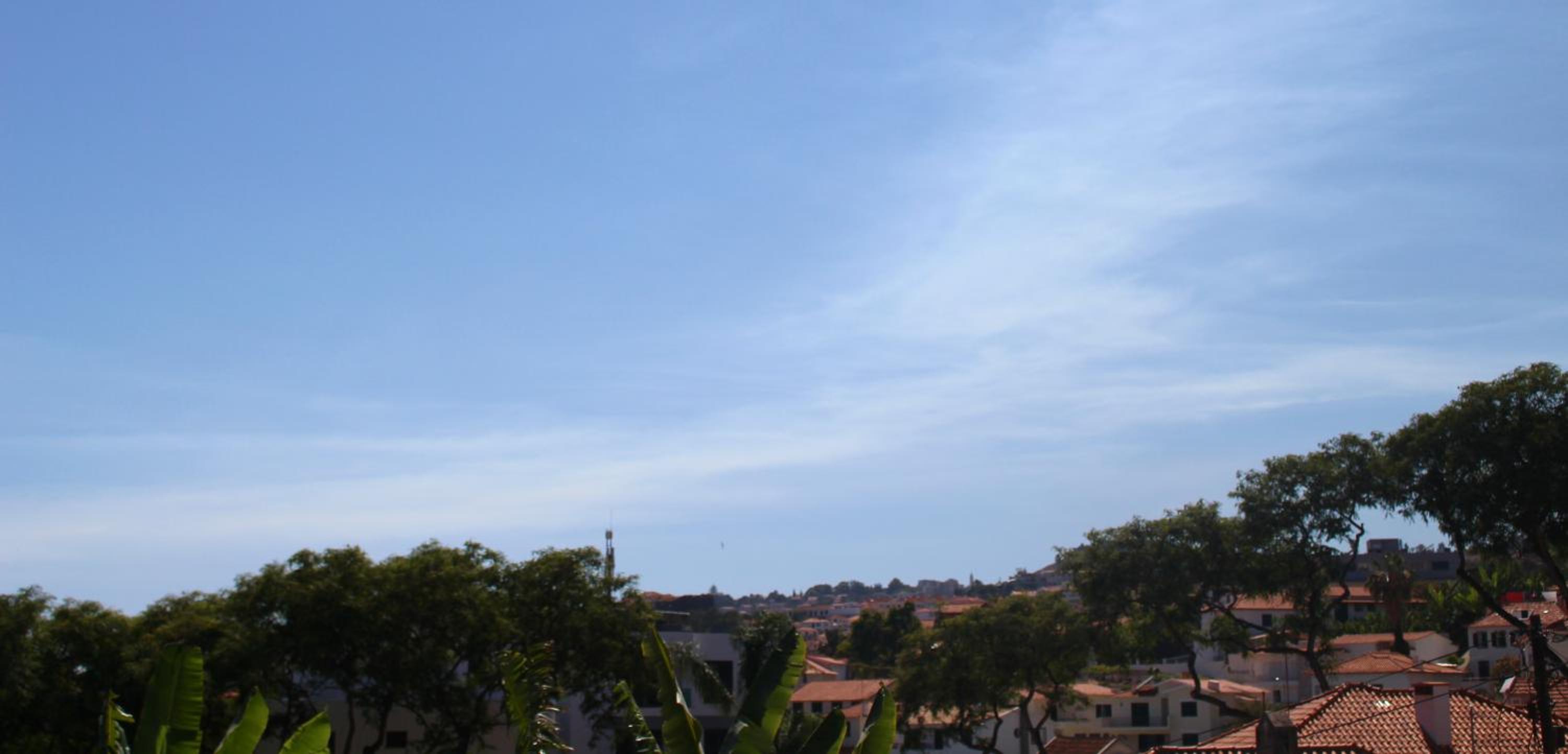 FX Pena