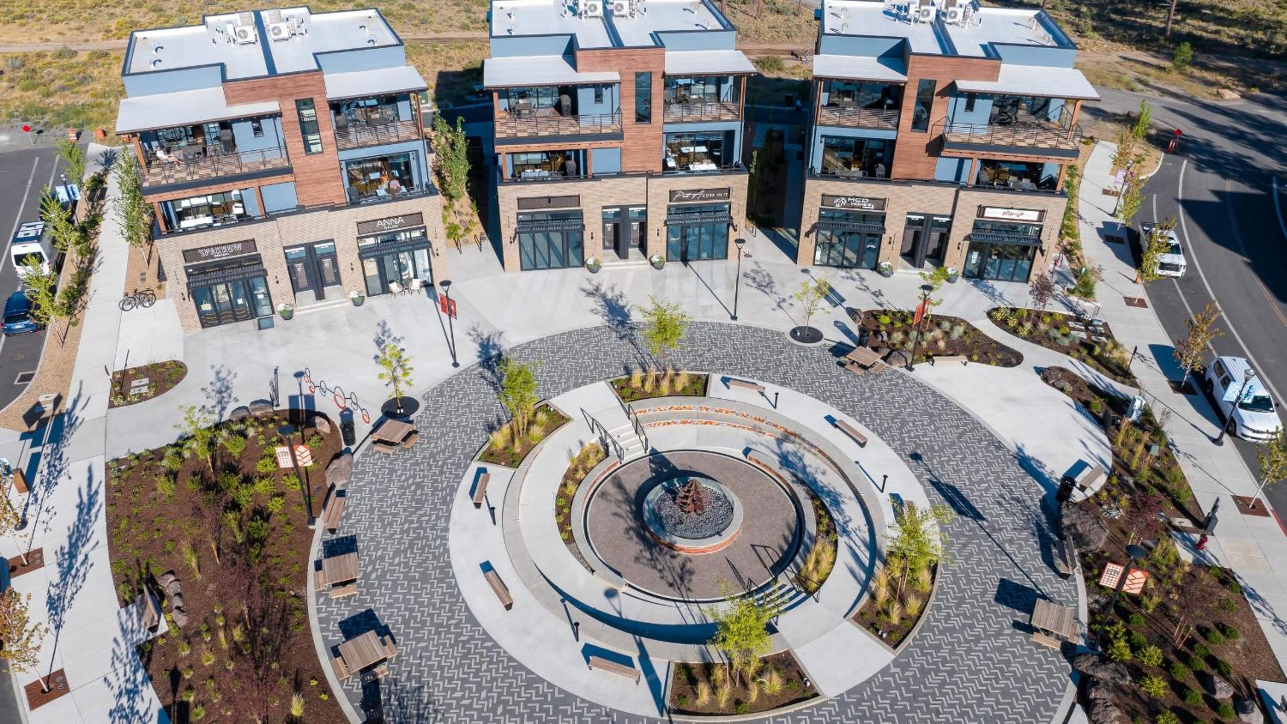 1131 Aerie Buyout 2 Units 5BDR Deck Hot Tub Views Near DT