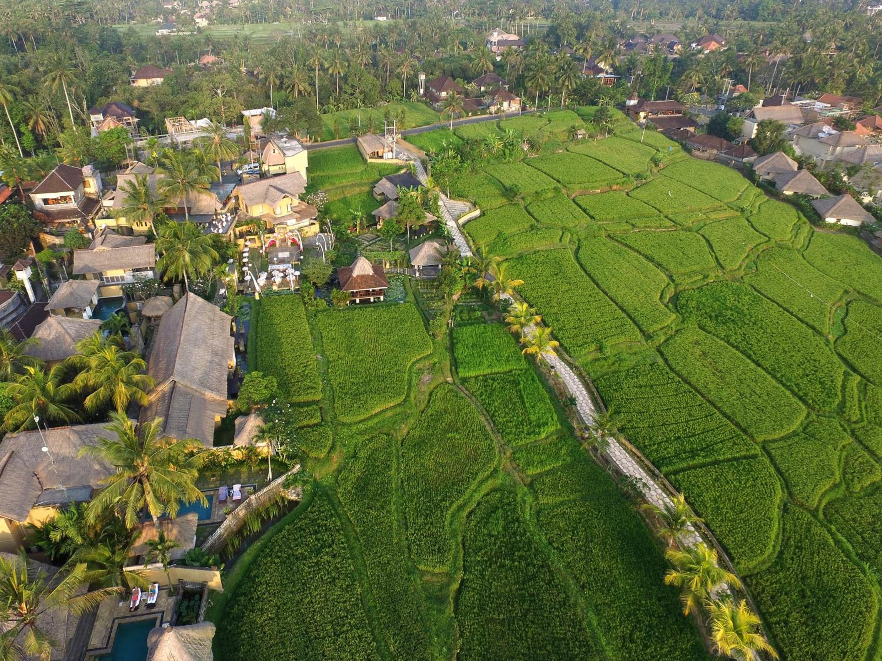 Hotel Wapa di Ume Ubud