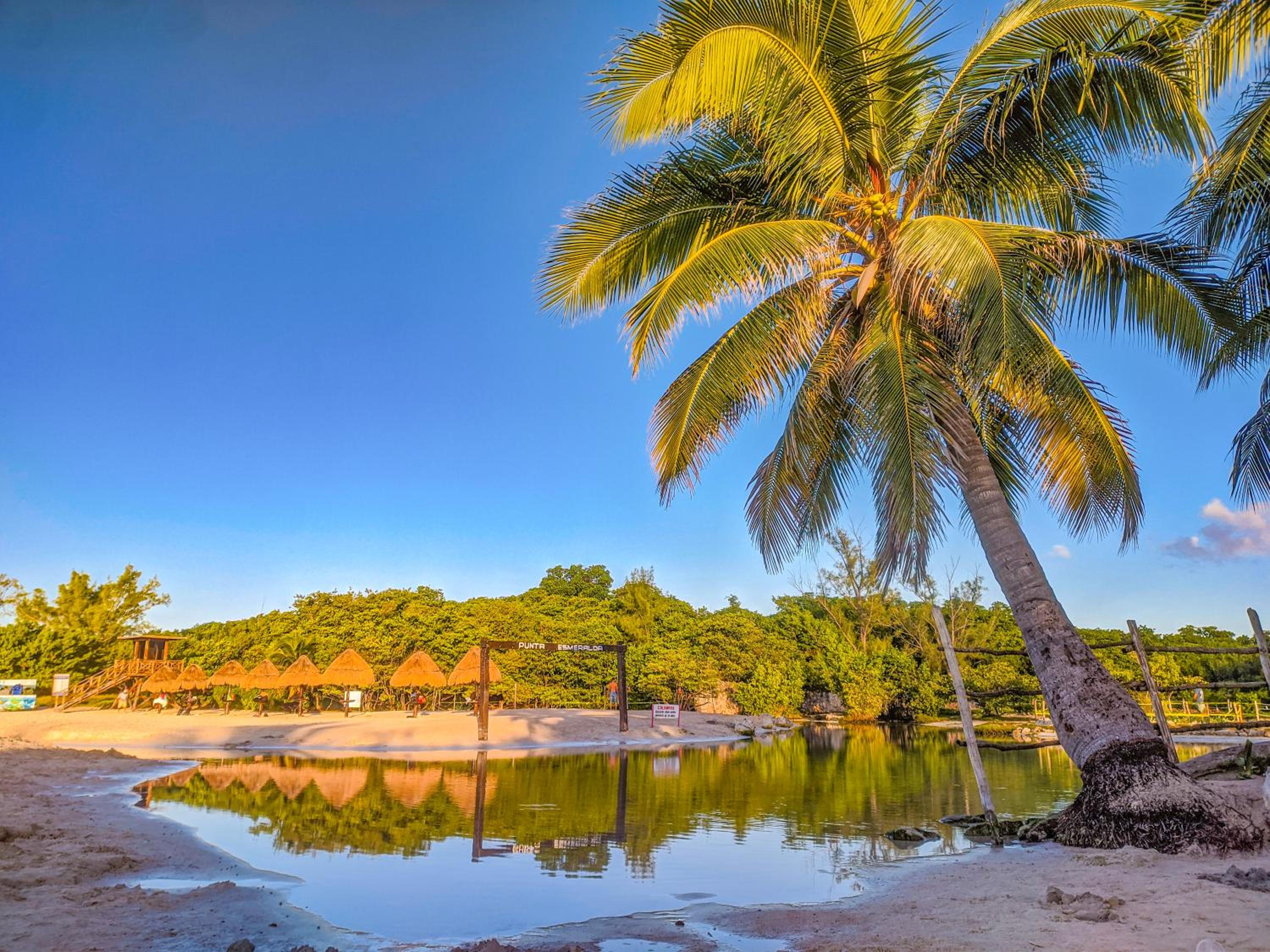 Romantic Apartment for You with King Memory Foam Bed, Full Kitchen, 8 Min Walk to Beach 6B