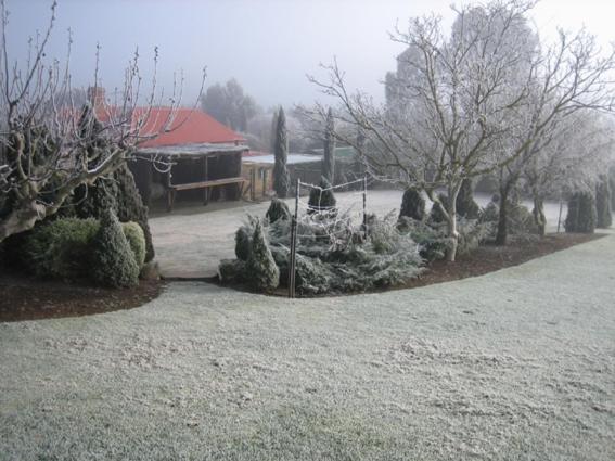 Vineyard Cottage BnB