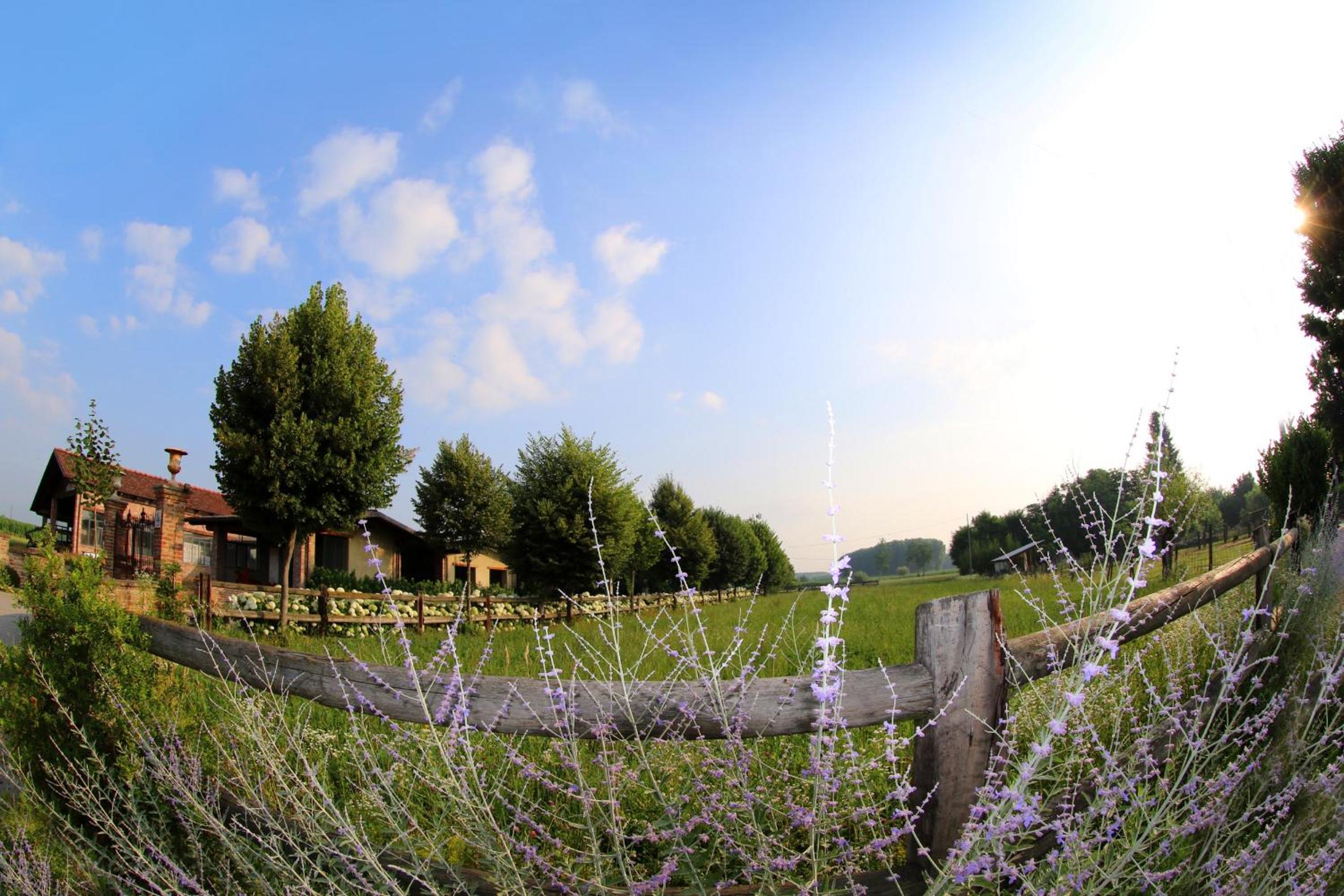 Hotel Le Soleil - Image 1