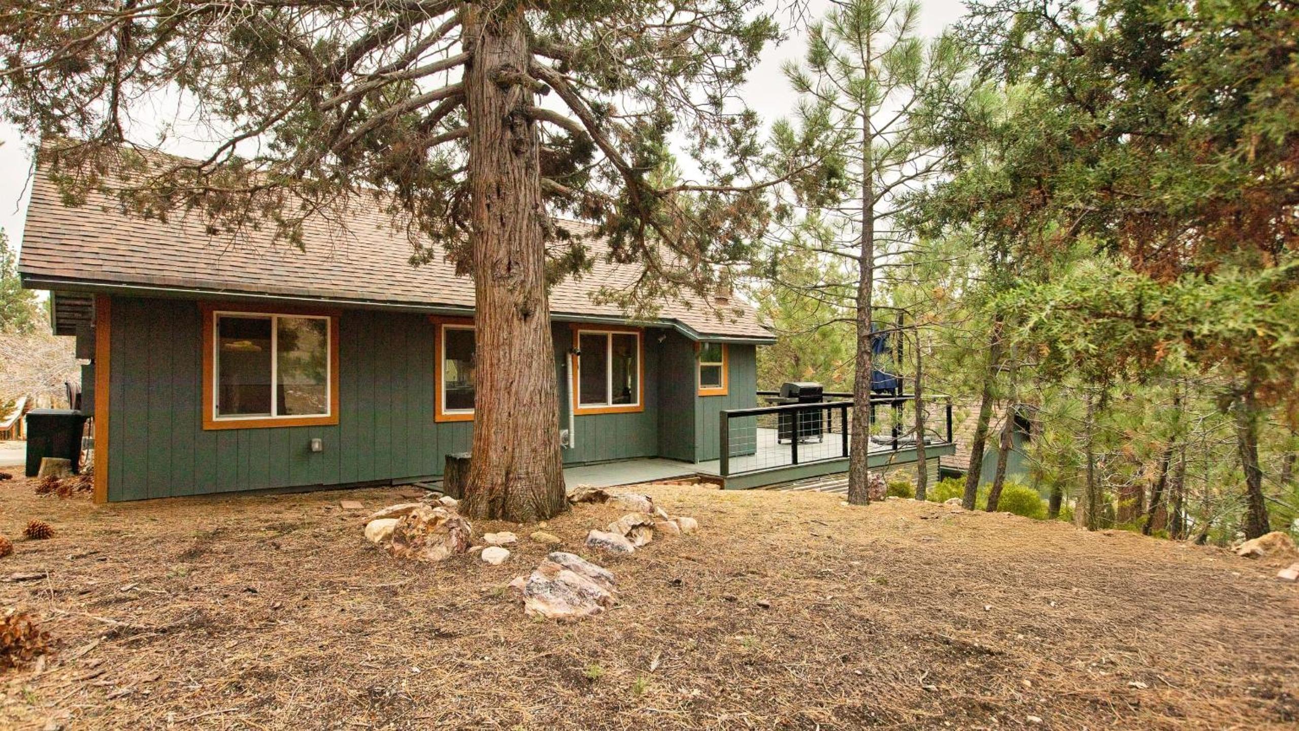 Cozy 2BR Fawnskin Cabin Big Bear Lake Hiking Trails Snow Summit Nearby