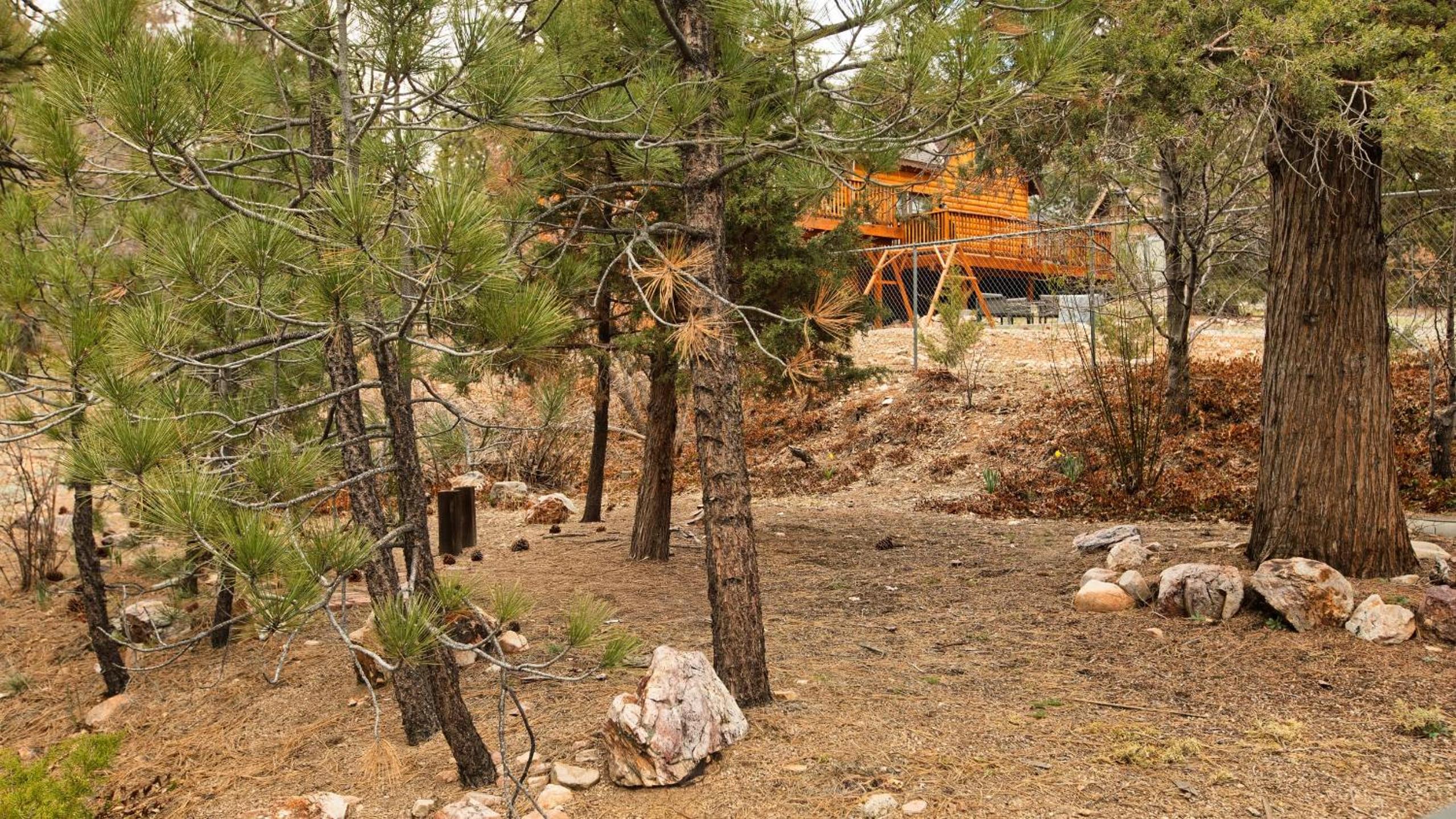 Cozy 2BR Fawnskin Cabin Big Bear Lake Hiking Trails Snow Summit Nearby