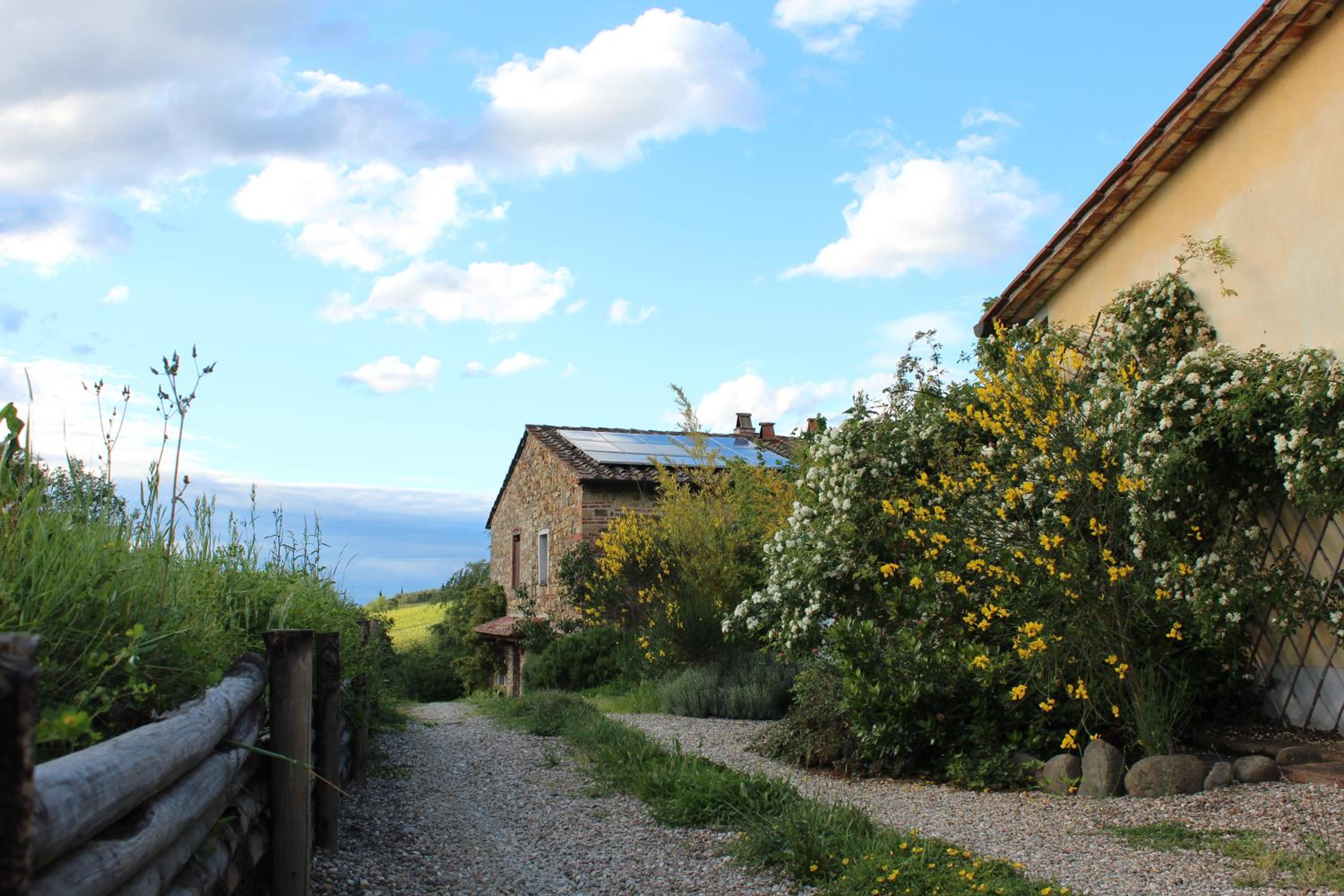 Il Cielo Bio - nature, relax, Shiatsu, massage, esplore Chianti view 5