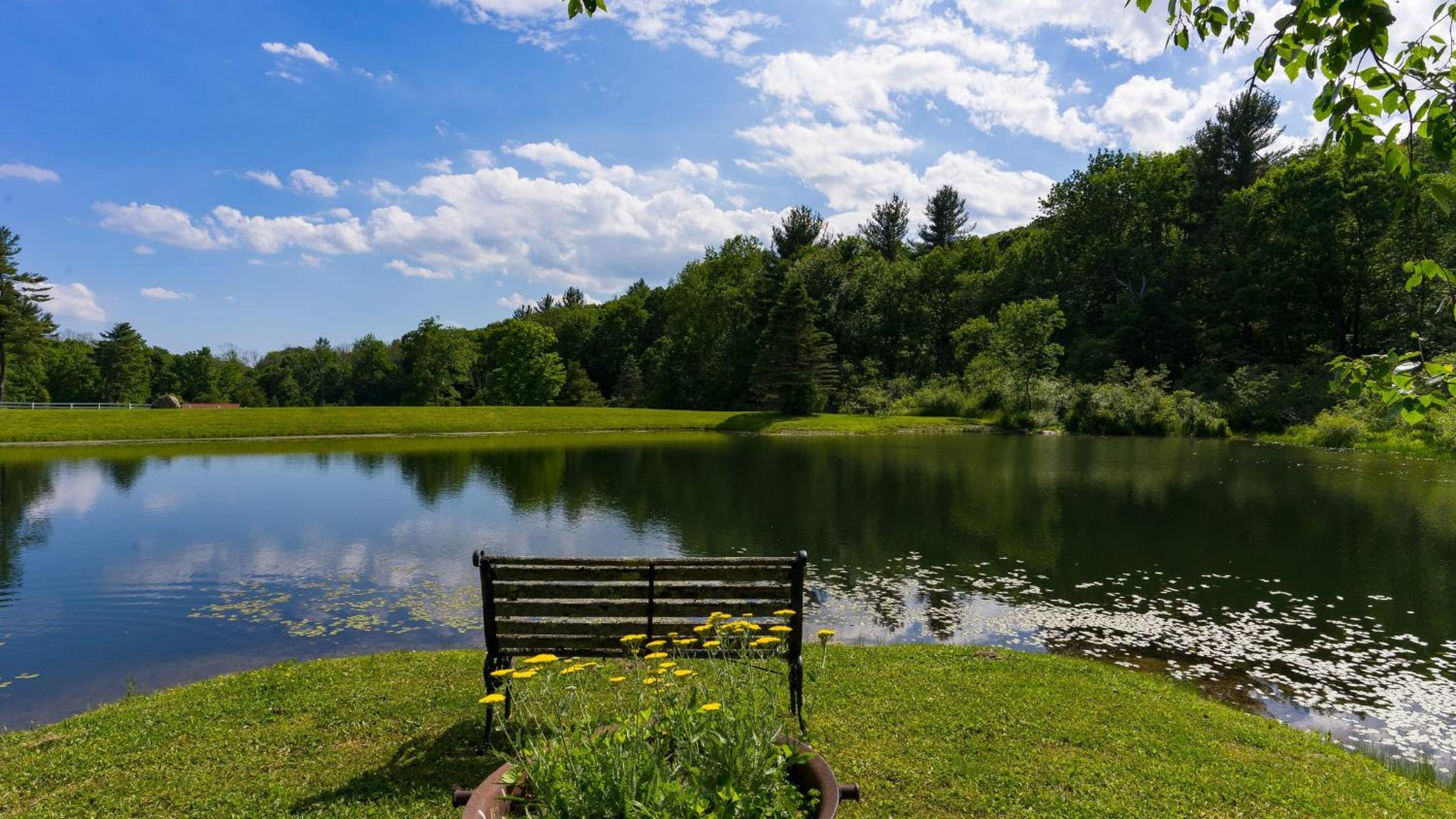Secluded Berkshires Estate Private PondPoolTheater Gym Sunny Pond