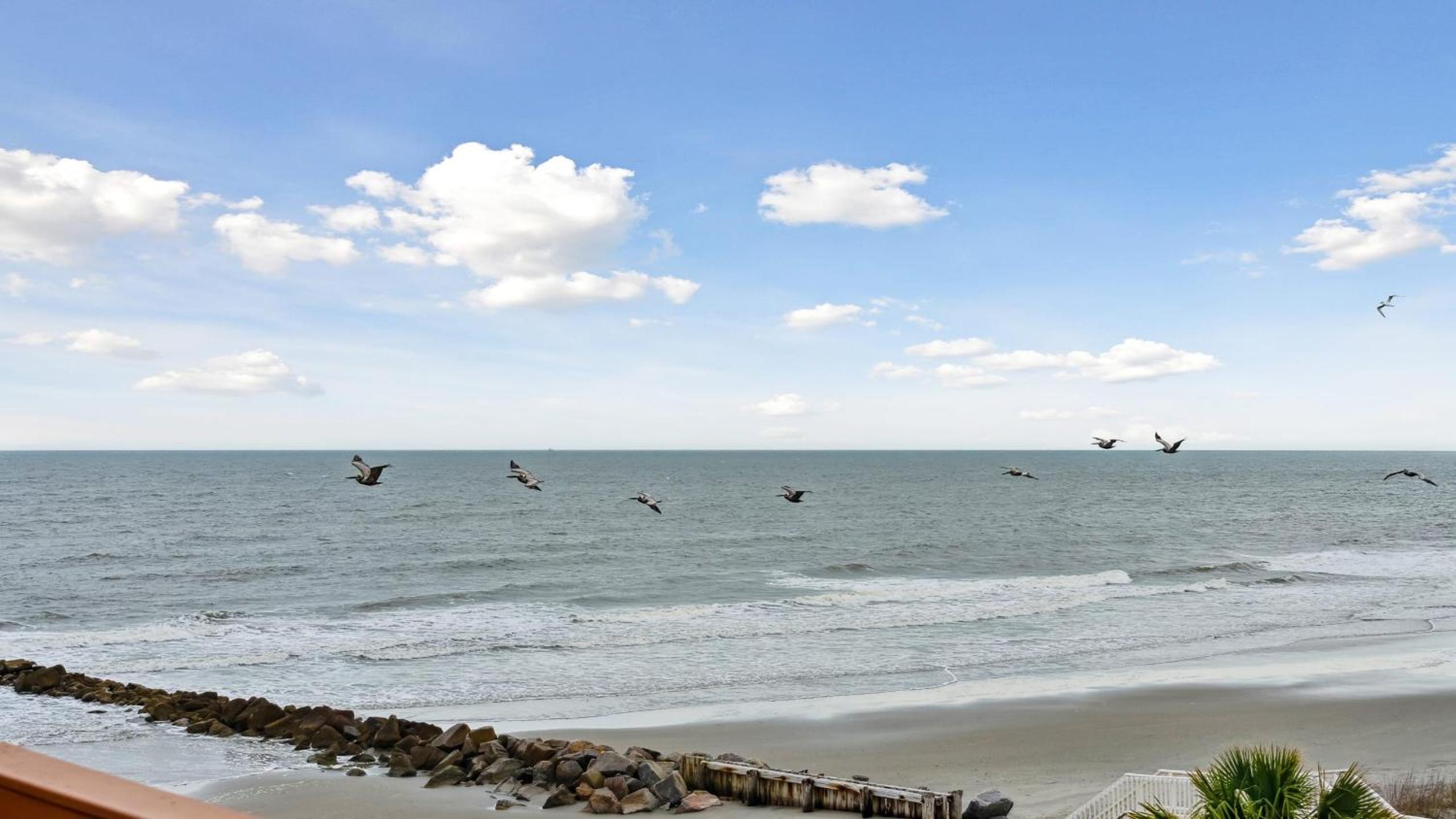 Oceanfront w Pool Panoramic Deck Views 5BDR Folly Ocean Breeze by AvantStay