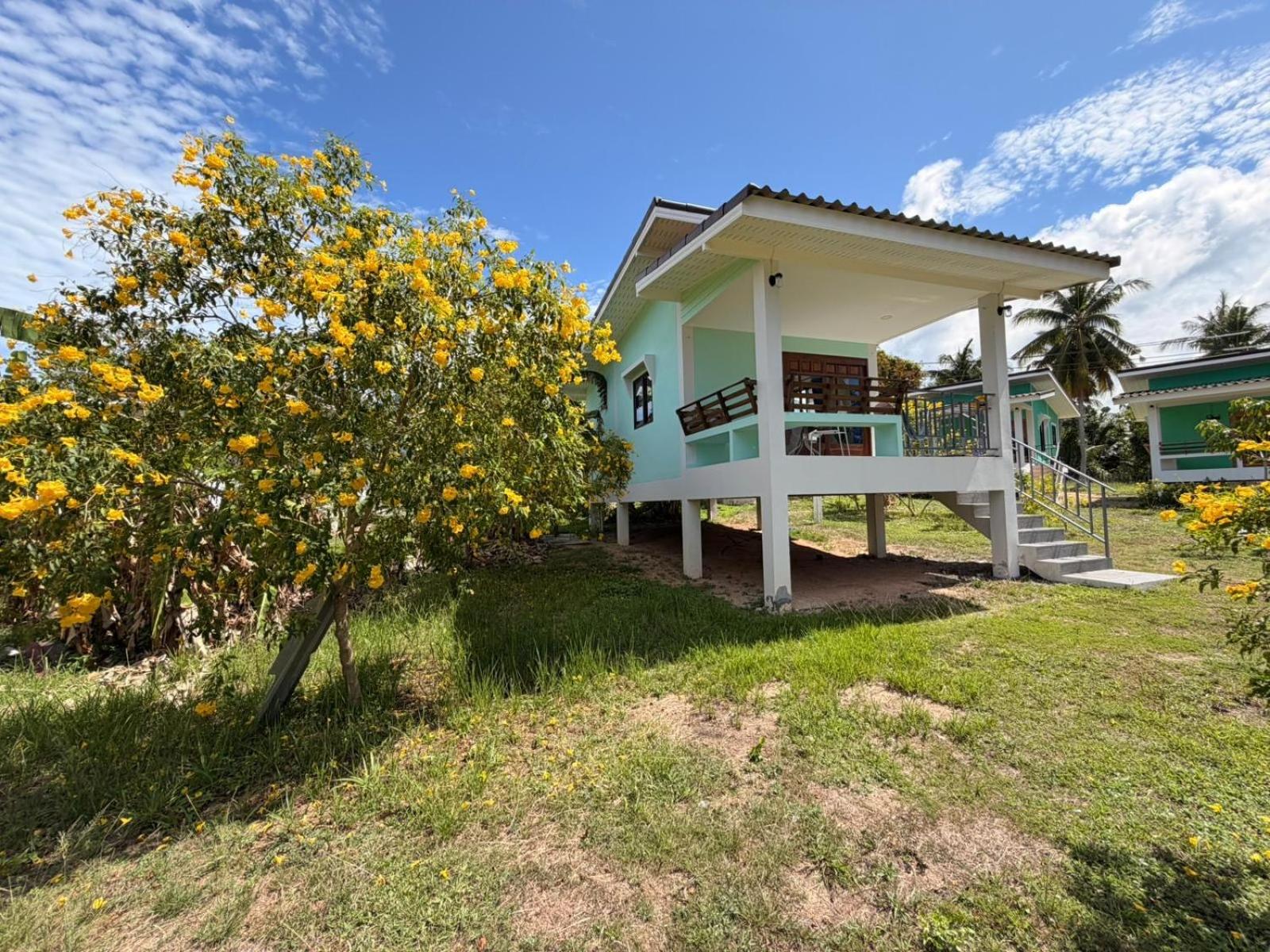 Modern Nature Retreat