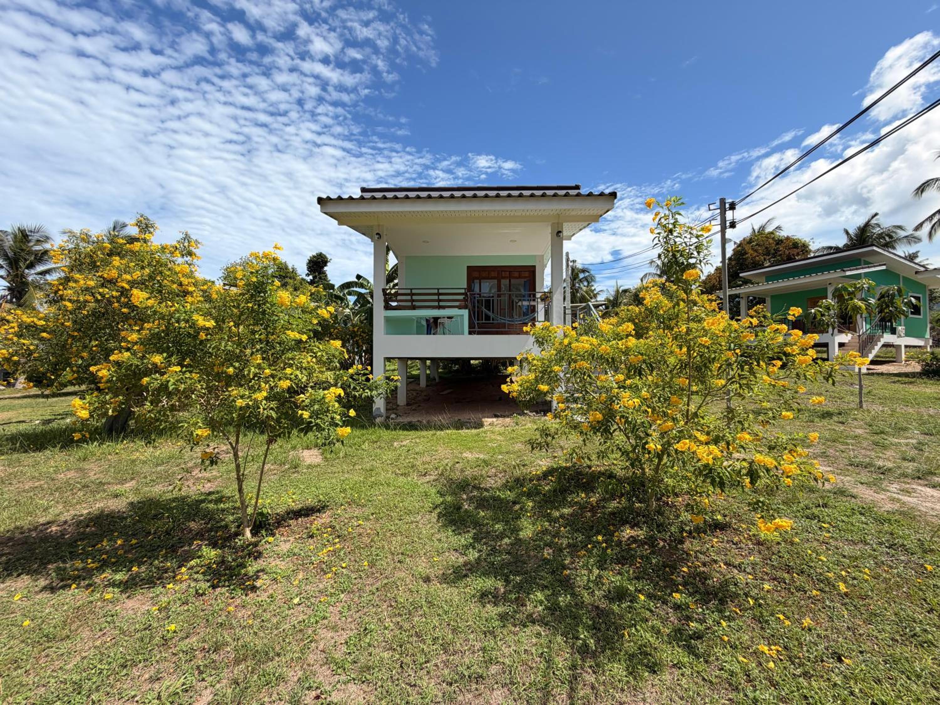 Modern Nature Retreat