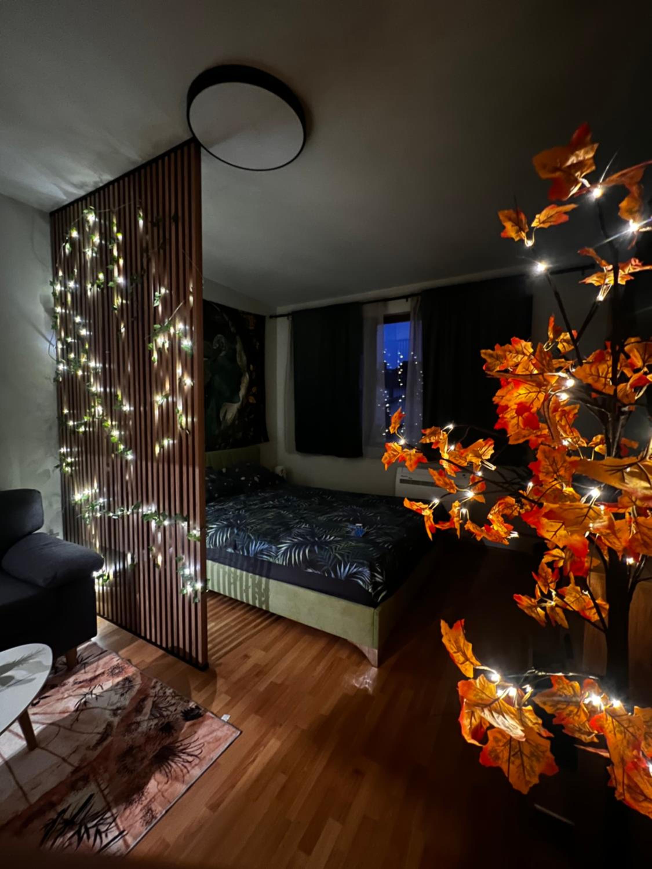 Apartment near the ski lift with a private parking
