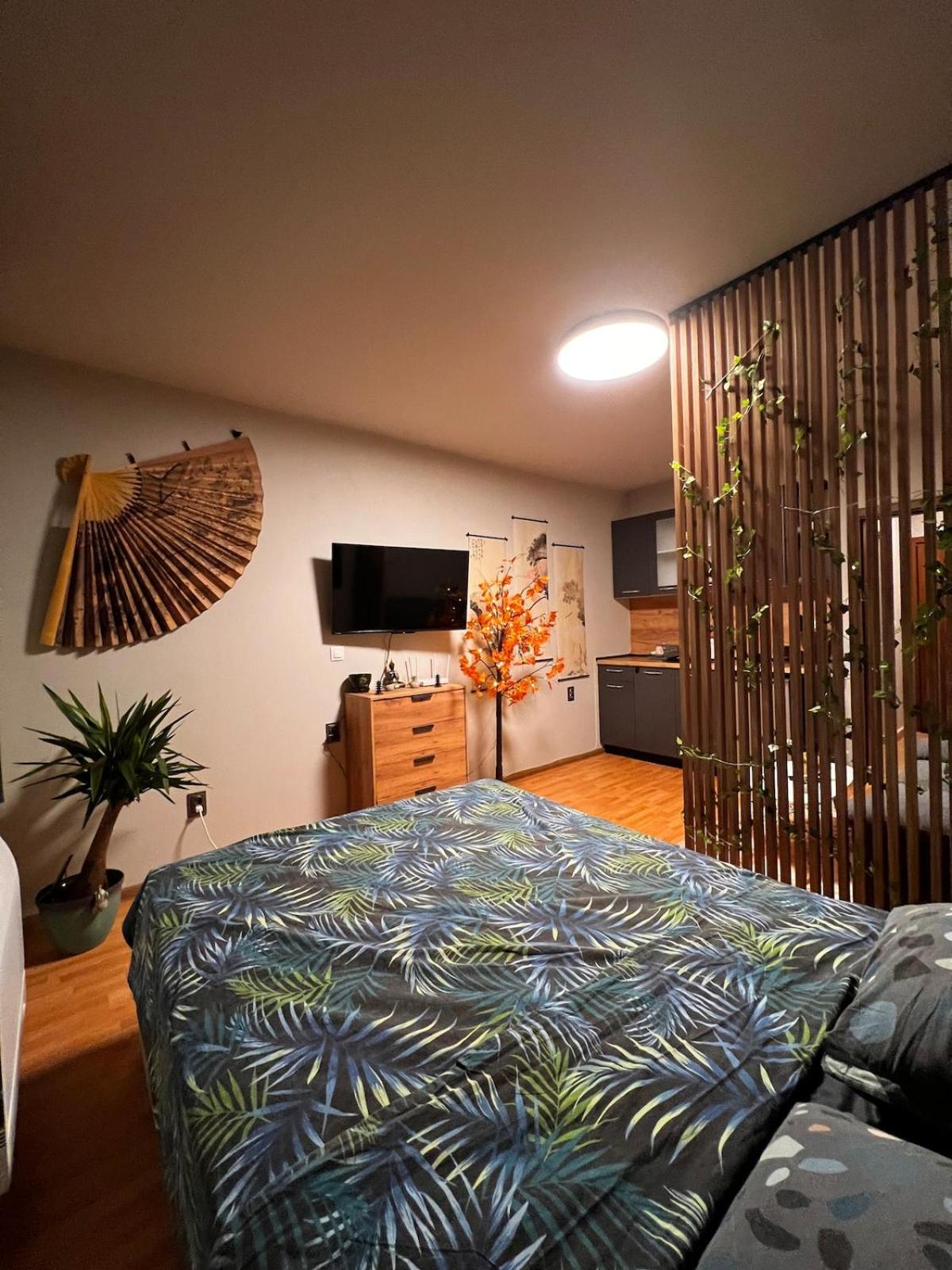 Apartment near the ski lift with a private parking