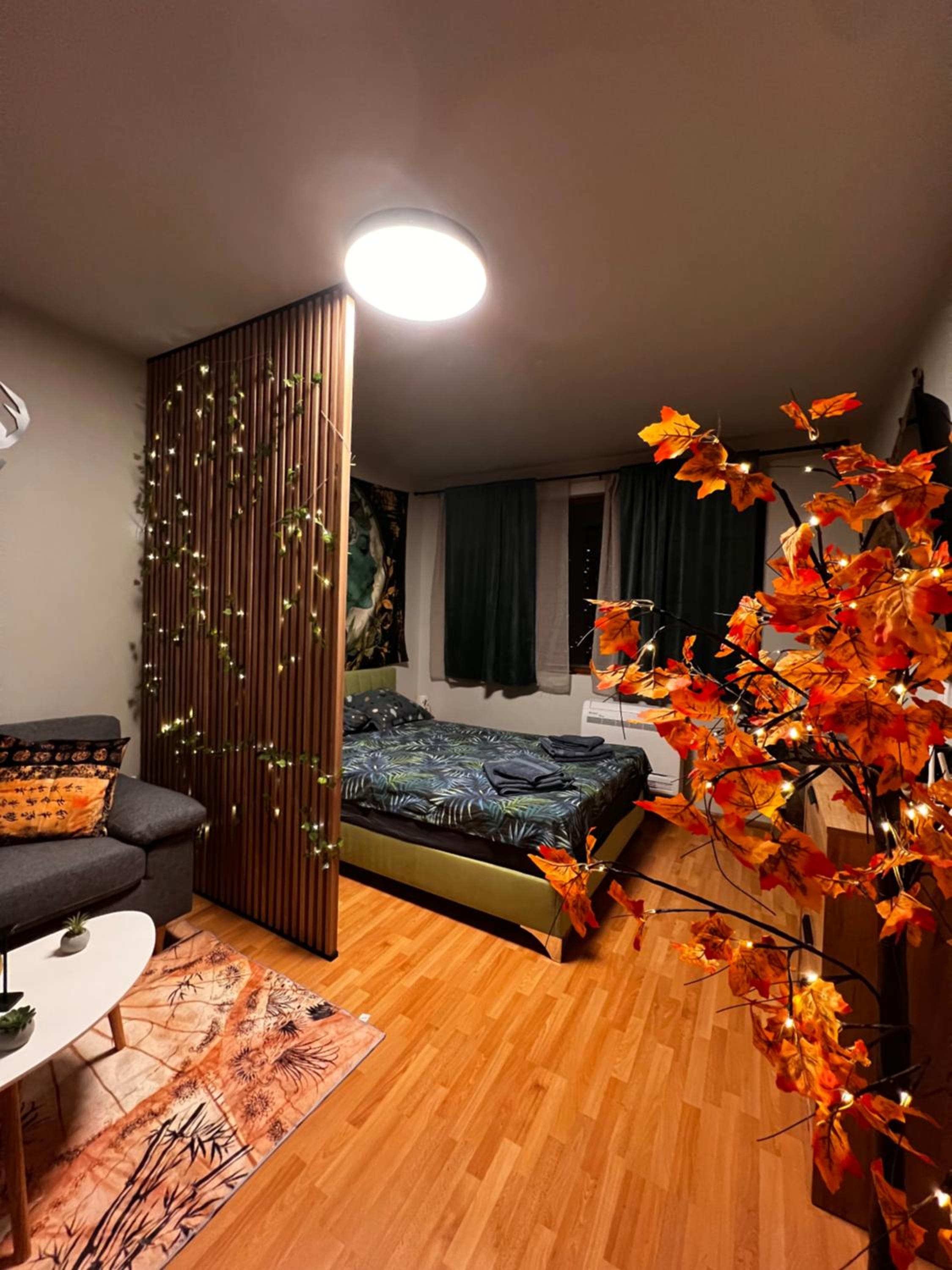 Apartment near the ski lift with a private parking