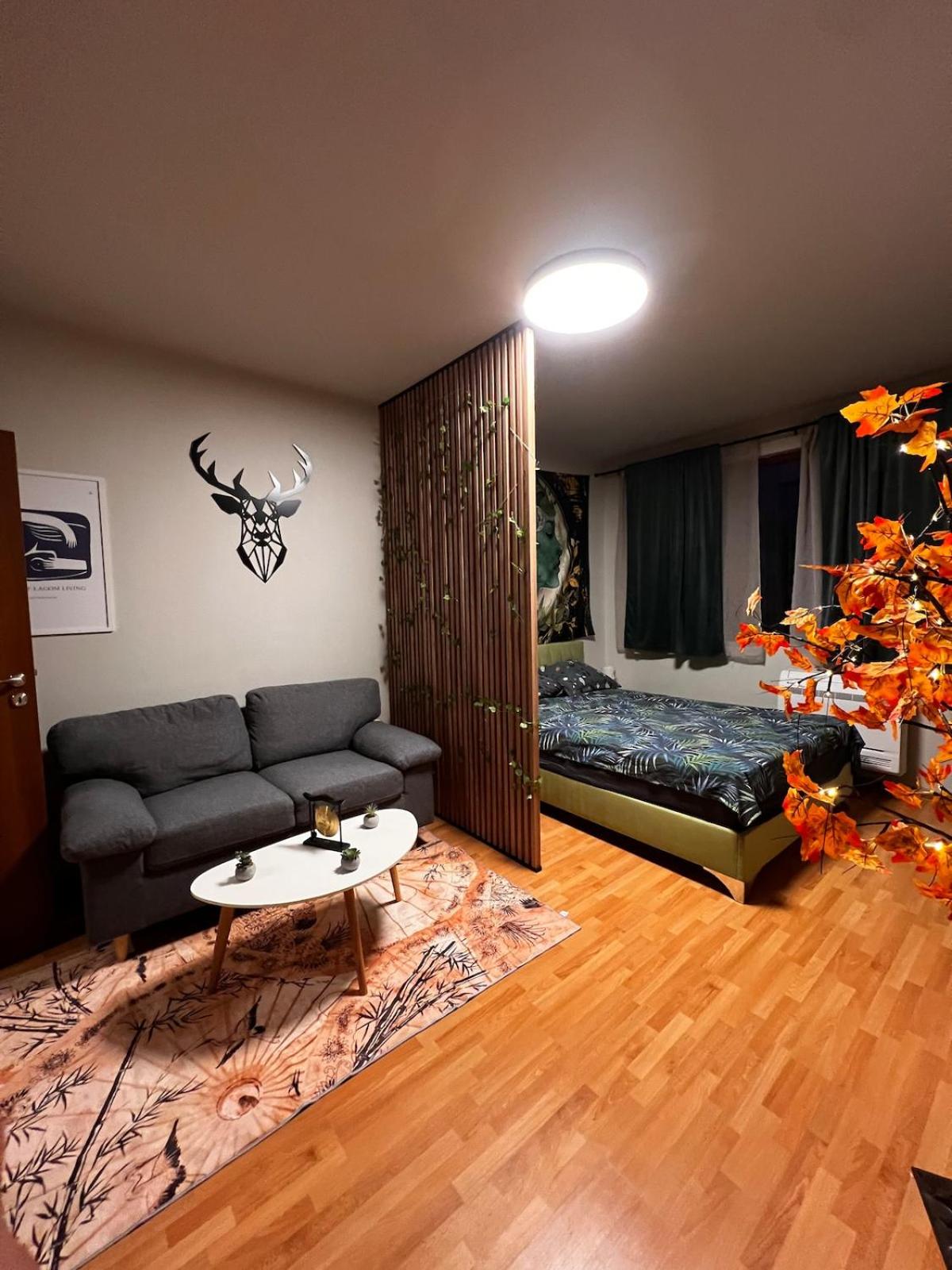 Apartment near the ski lift with a private parking