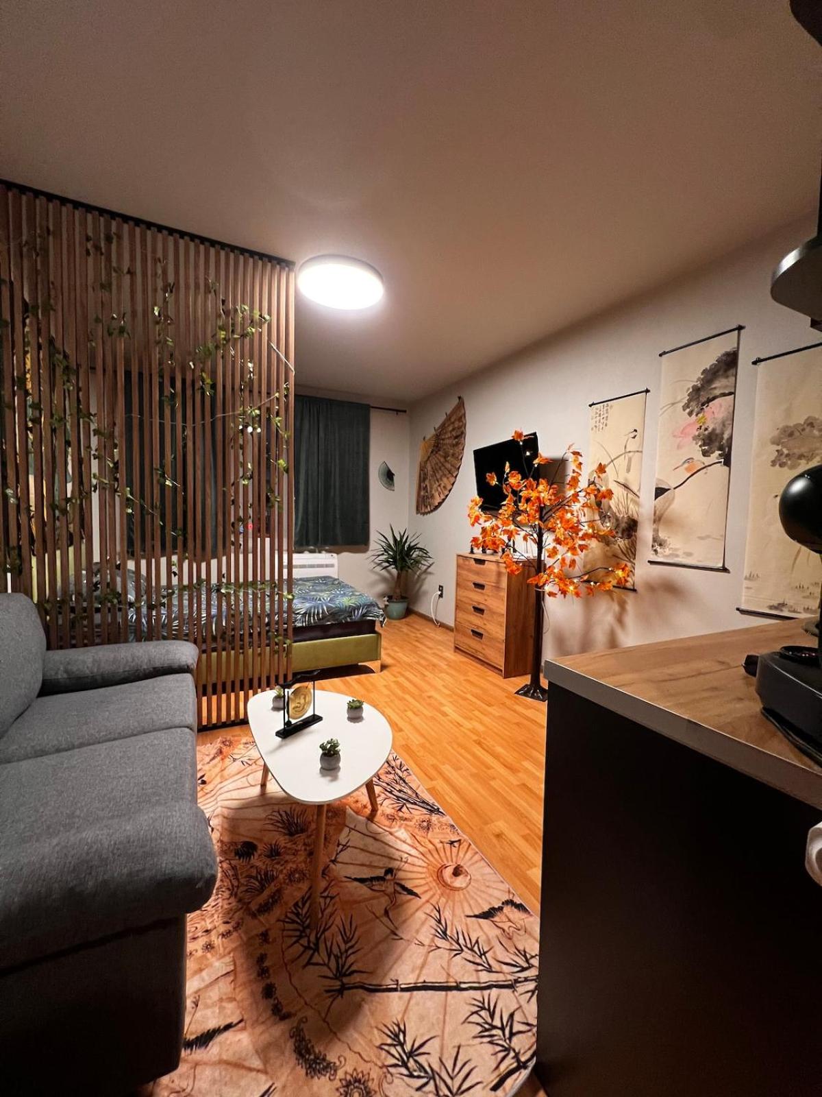 Apartment near the ski lift with a private parking