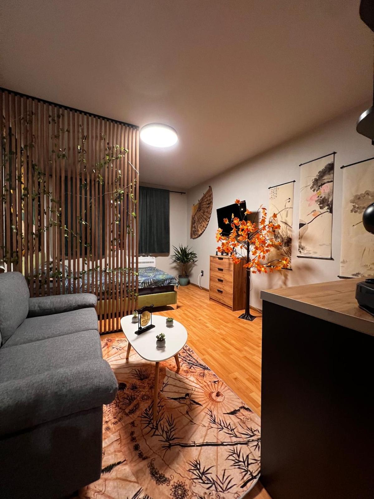 Apartment near the ski lift with a private parking