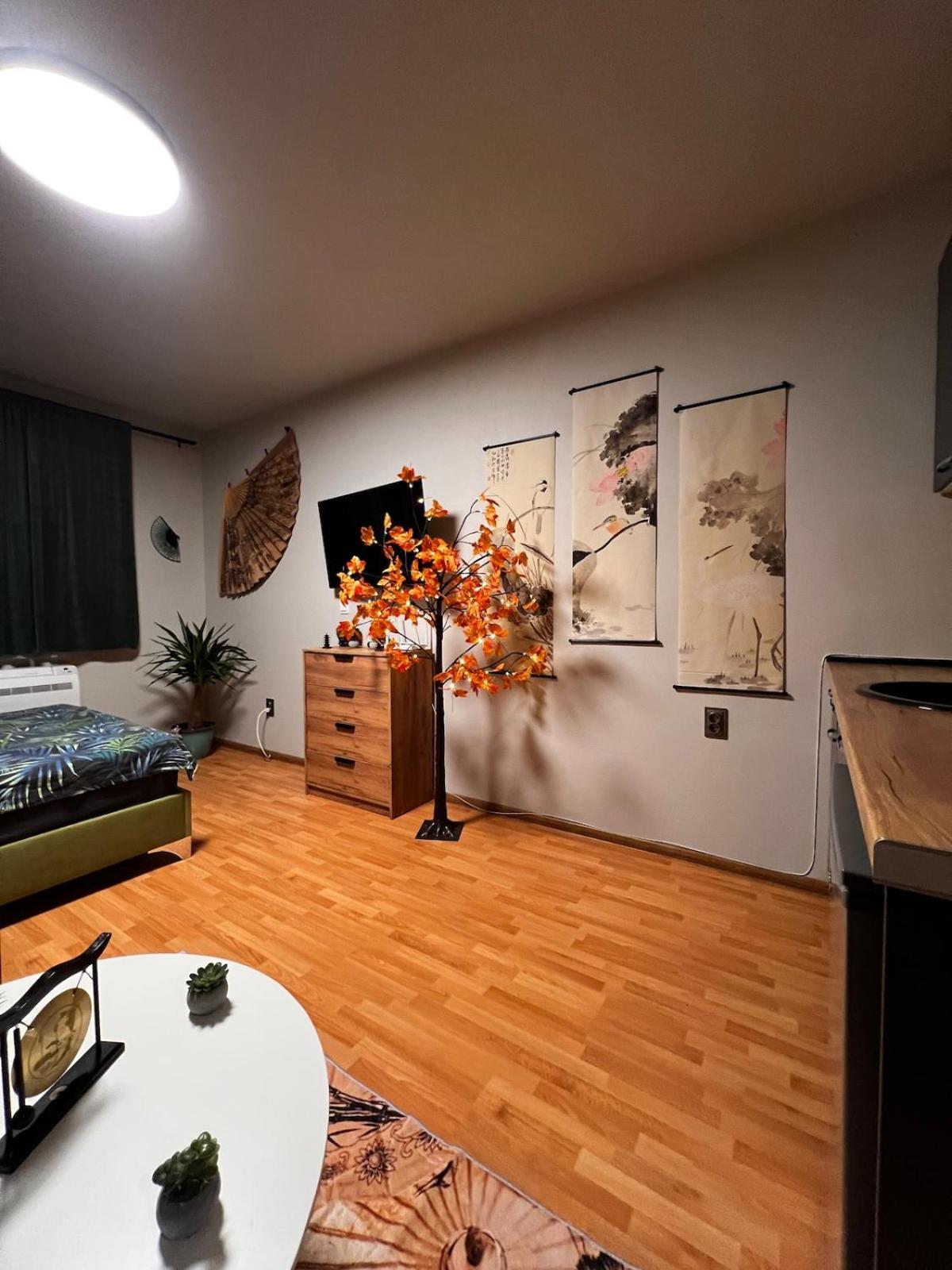 Apartment near the ski lift with a private parking