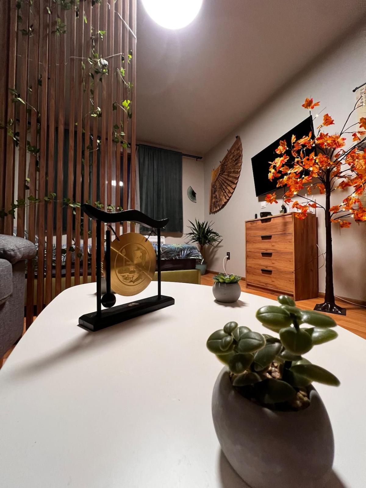Apartment near the ski lift with a private parking