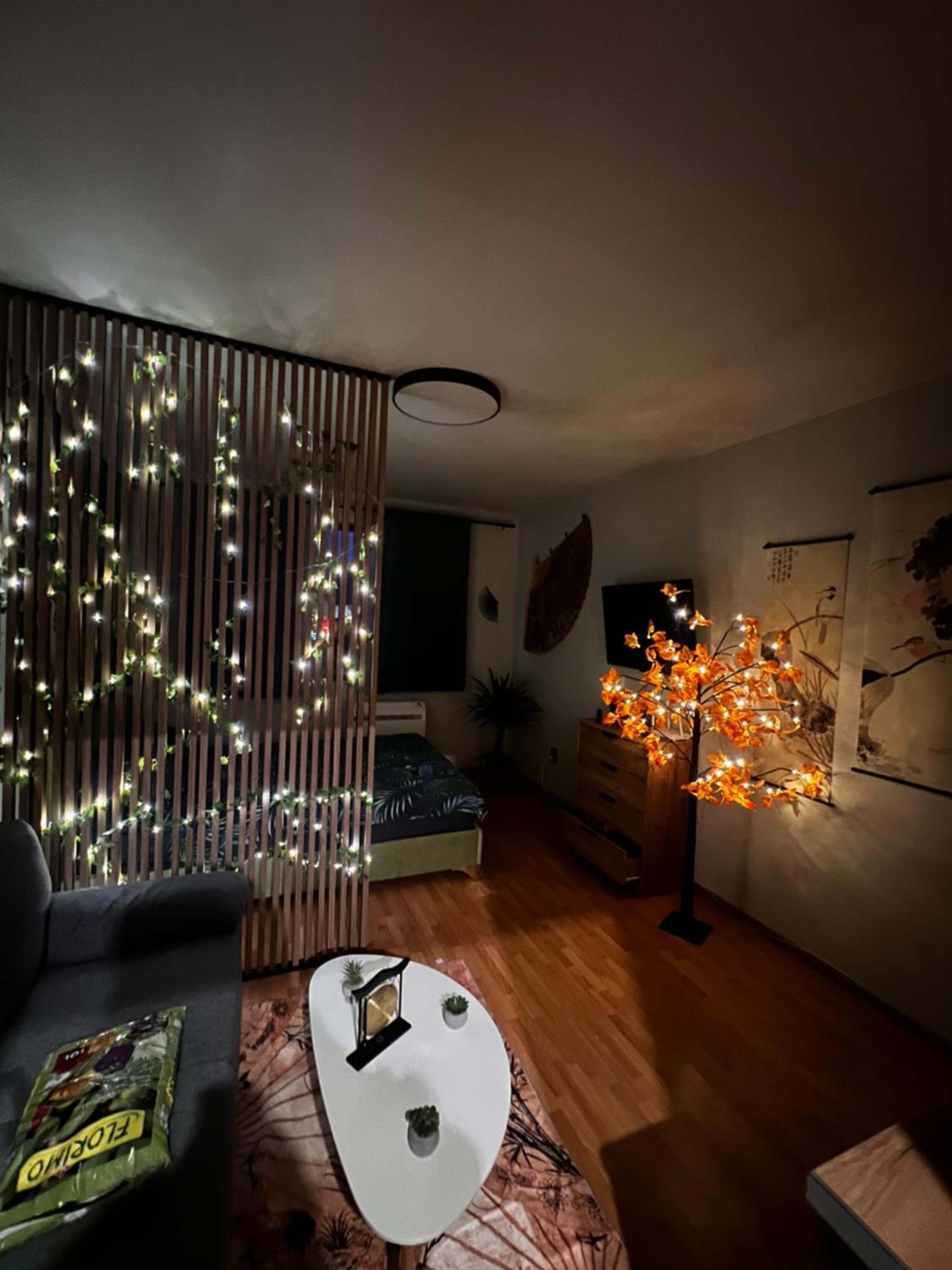 Apartment near the ski lift with a private parking