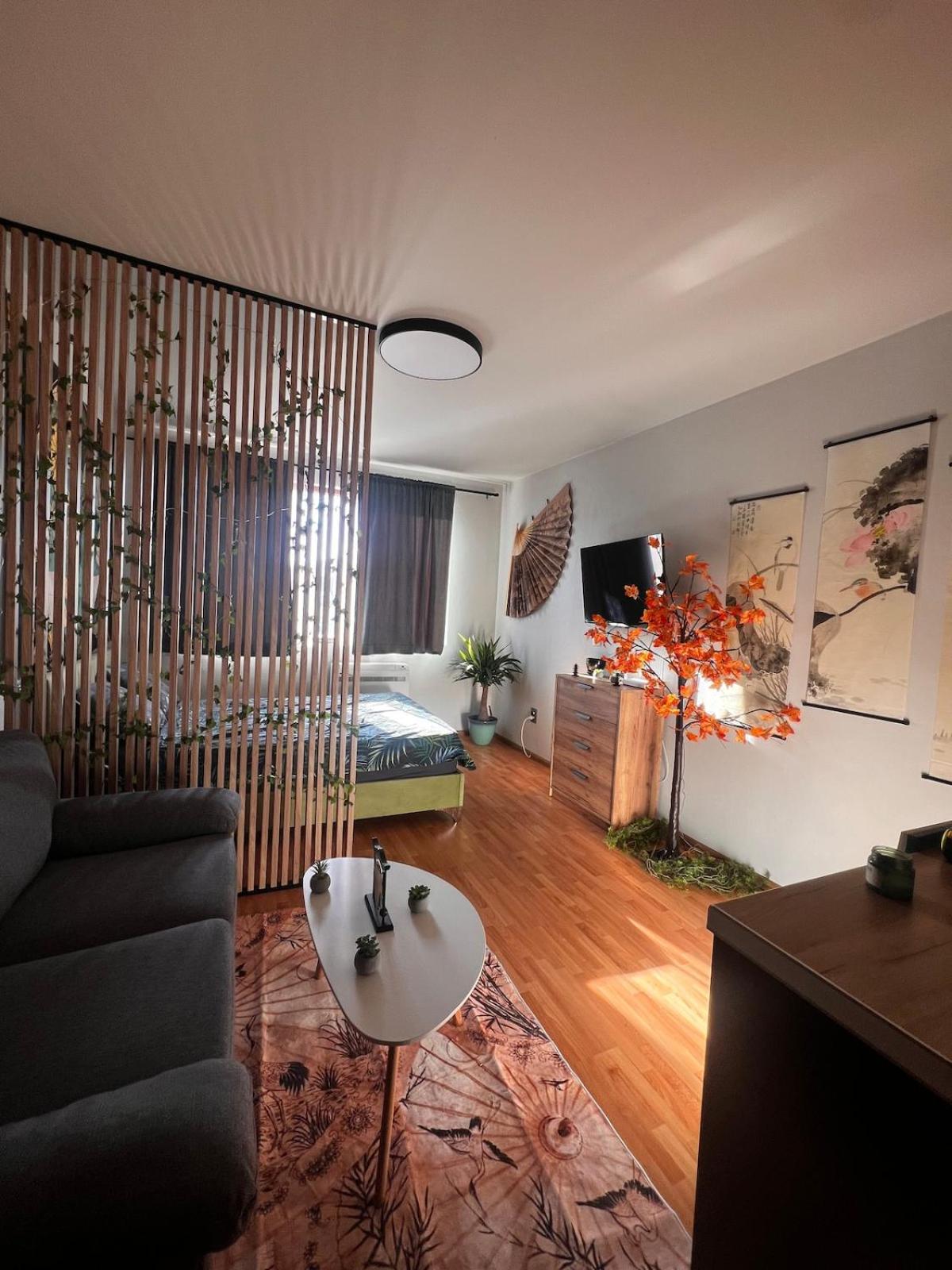 Apartment near the ski lift with a private parking