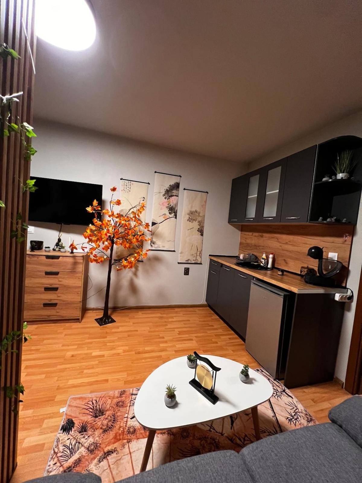 Apartment near the ski lift with a private parking
