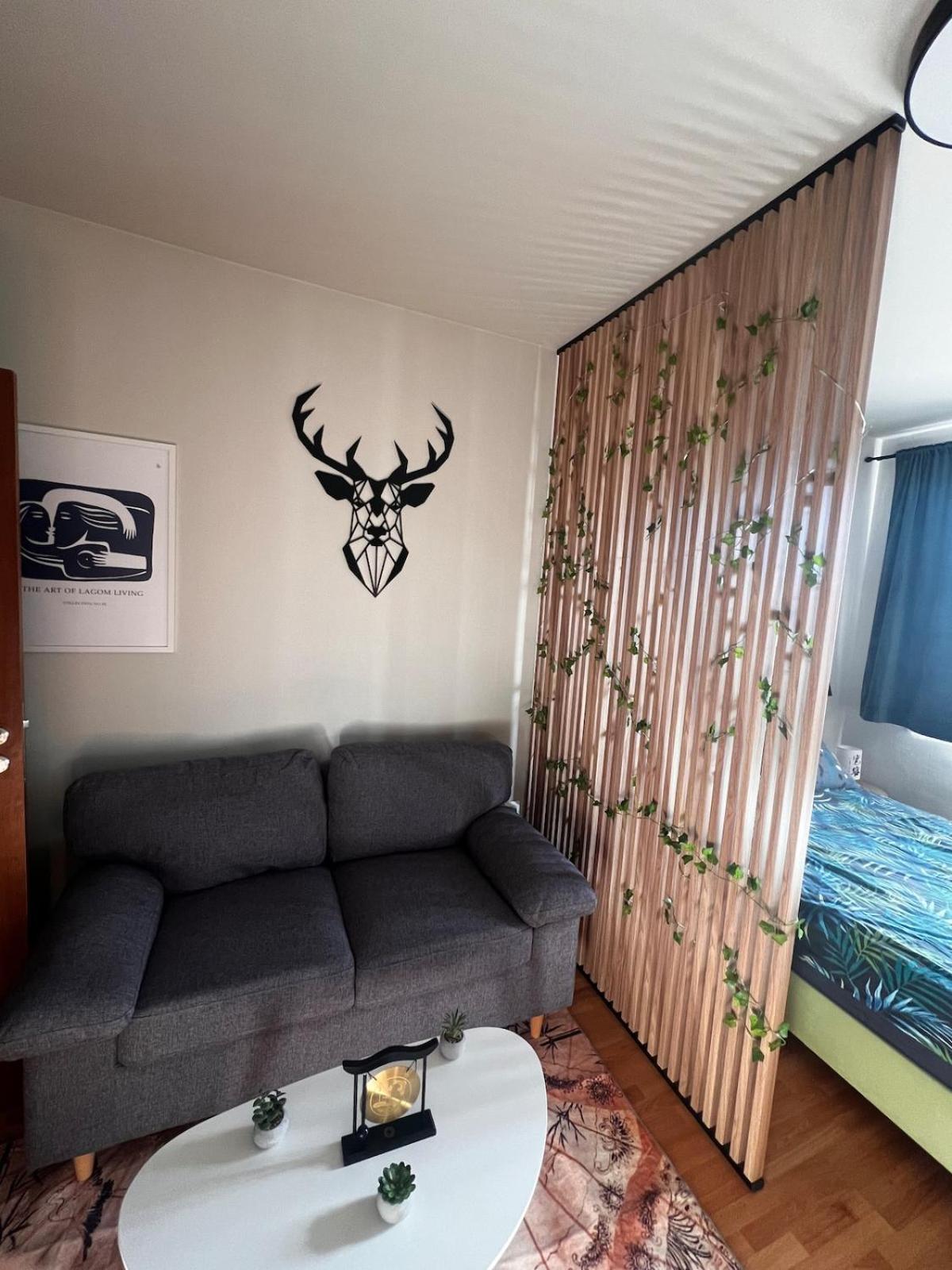Apartment near the ski lift with a private parking