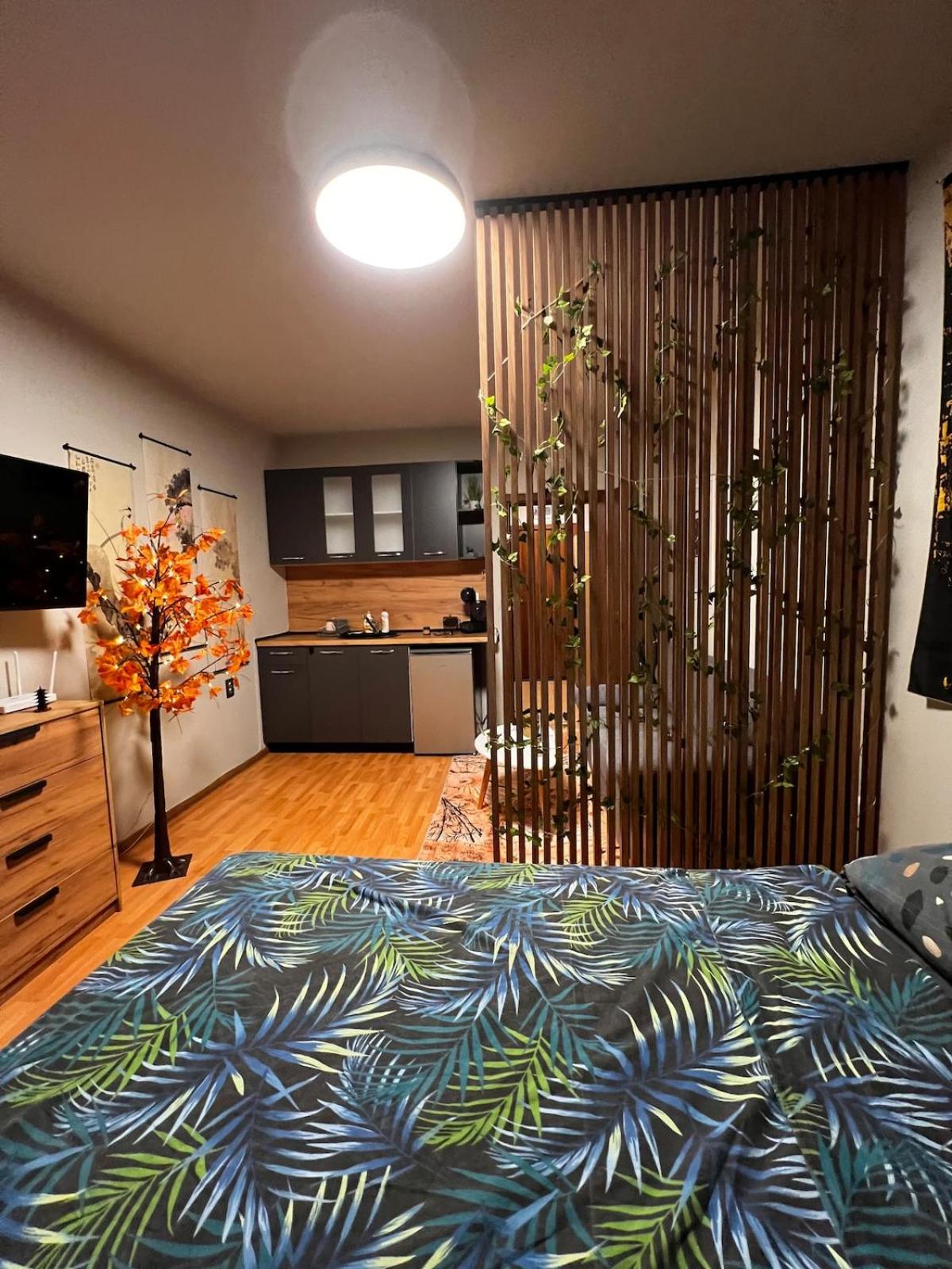 Apartment near the ski lift with a private parking