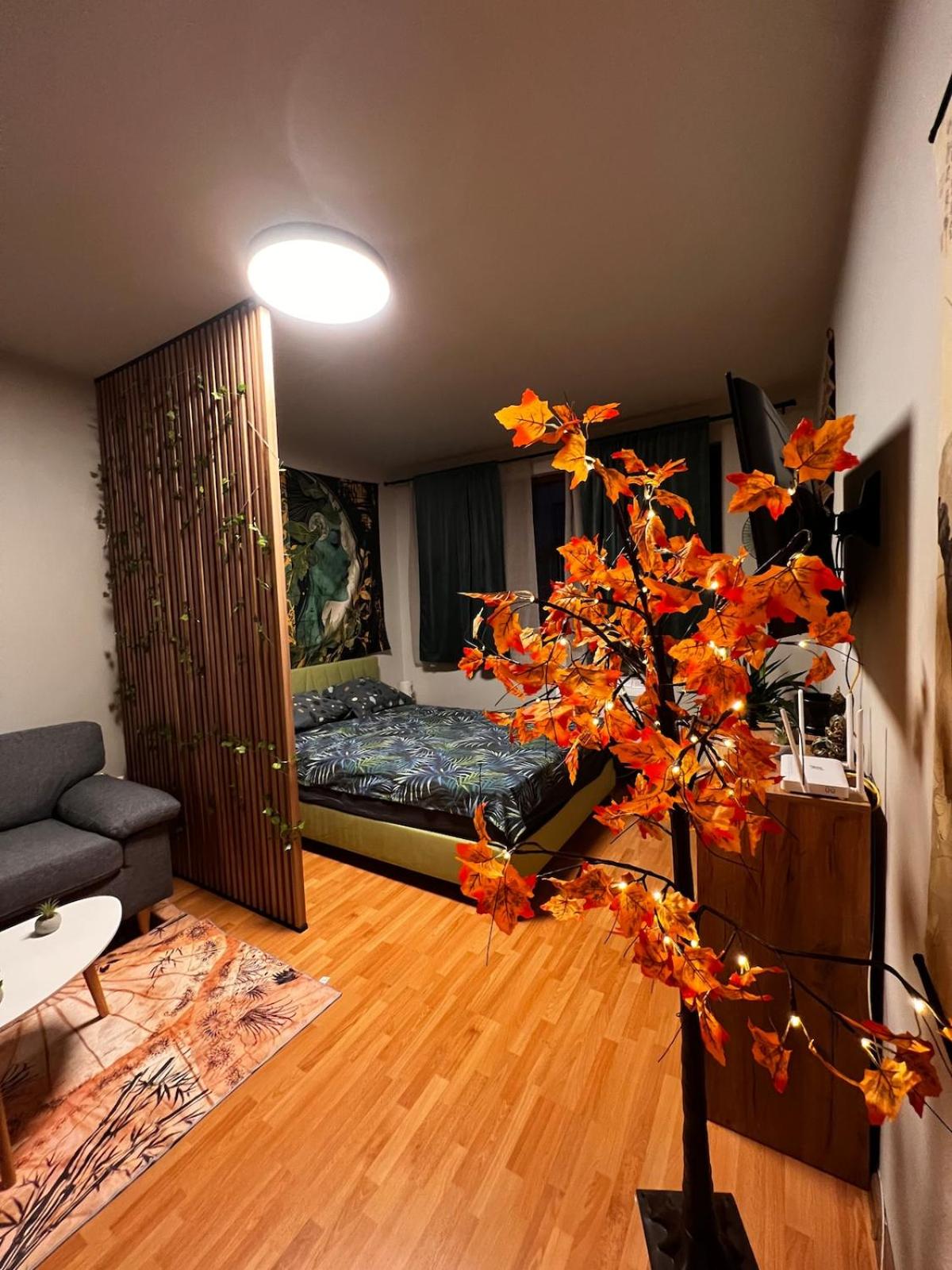Apartment near the ski lift with a private parking