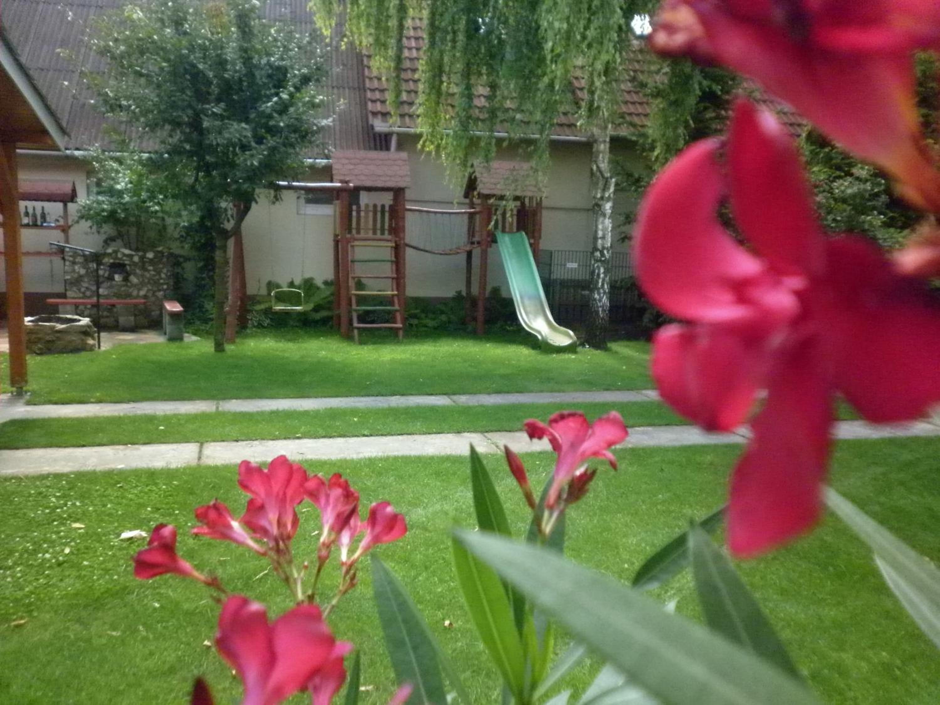 Photo 43