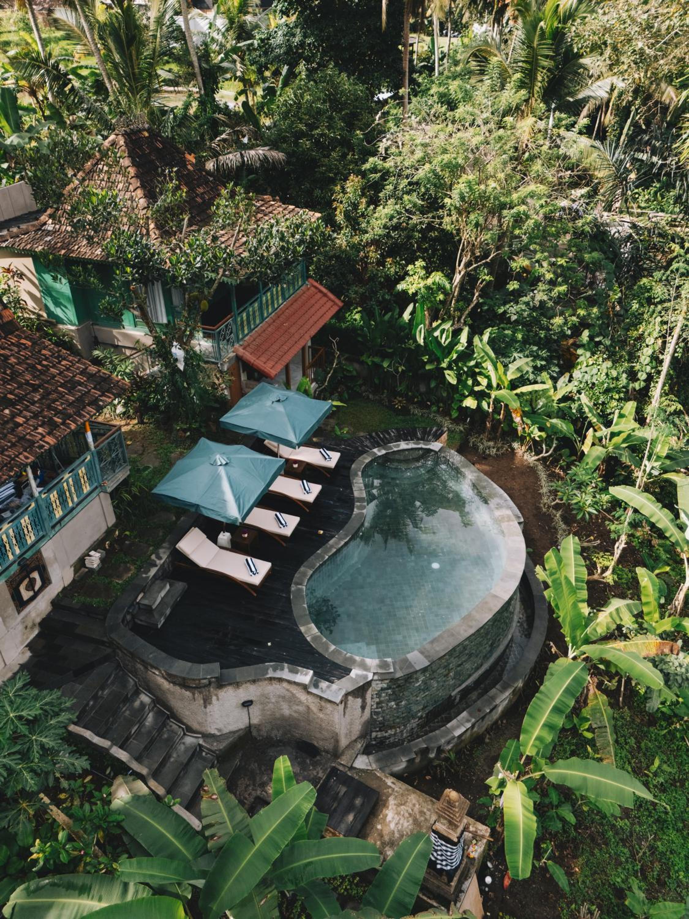 Sokwayah Jungle Villas & Retreat