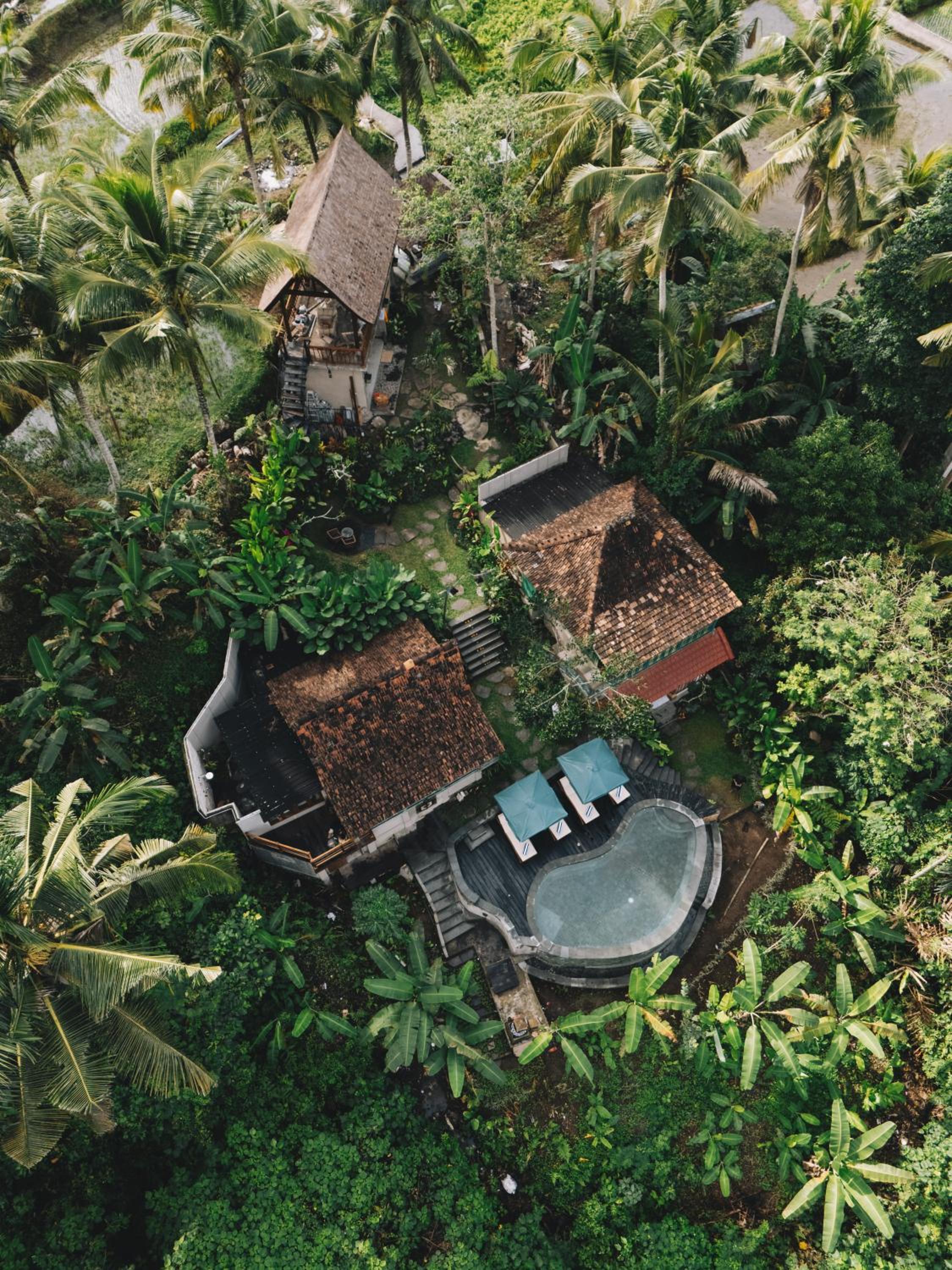Sokwayah Jungle Villas & Retreat