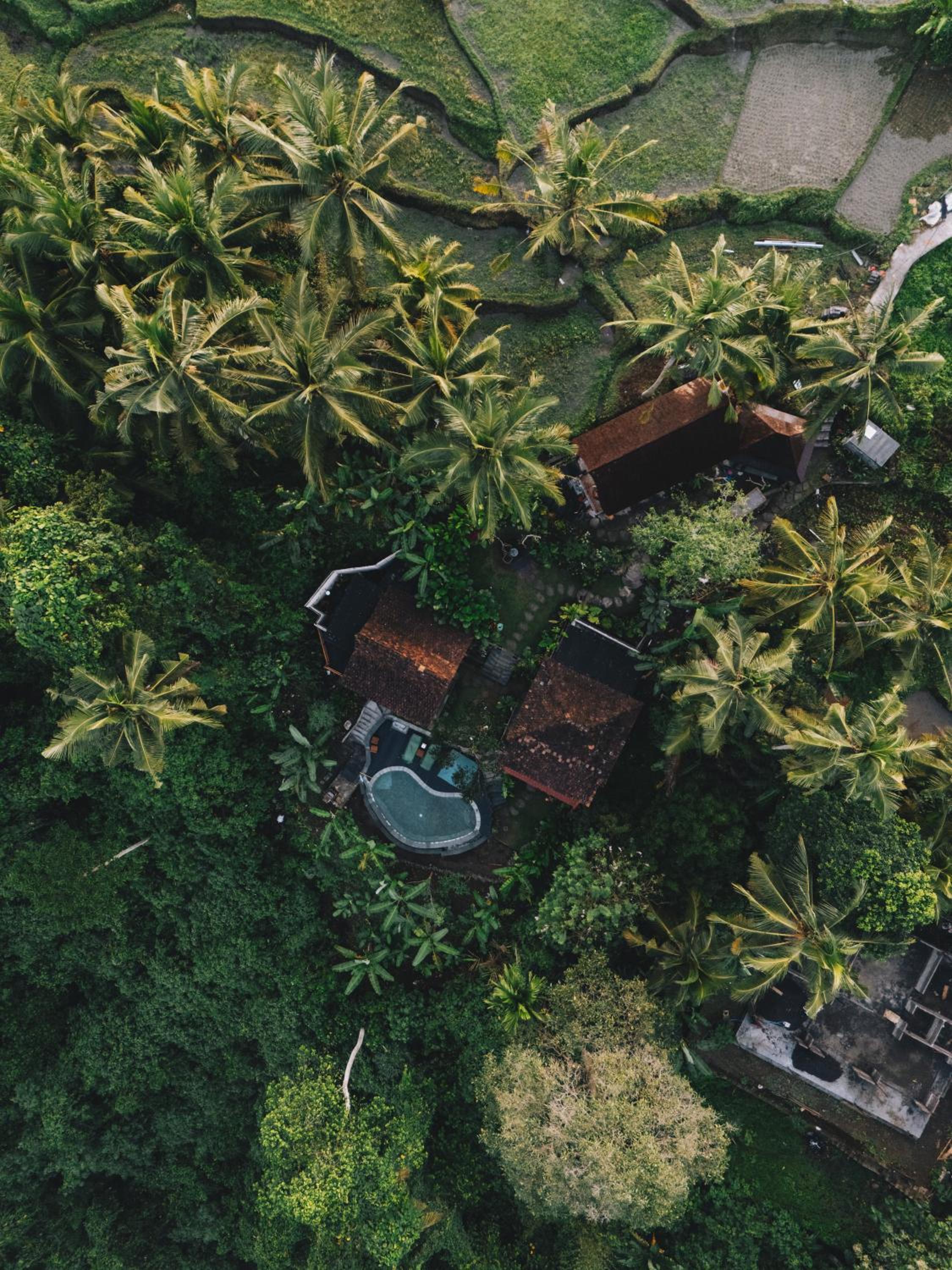 Sokwayah Jungle Villas & Retreat