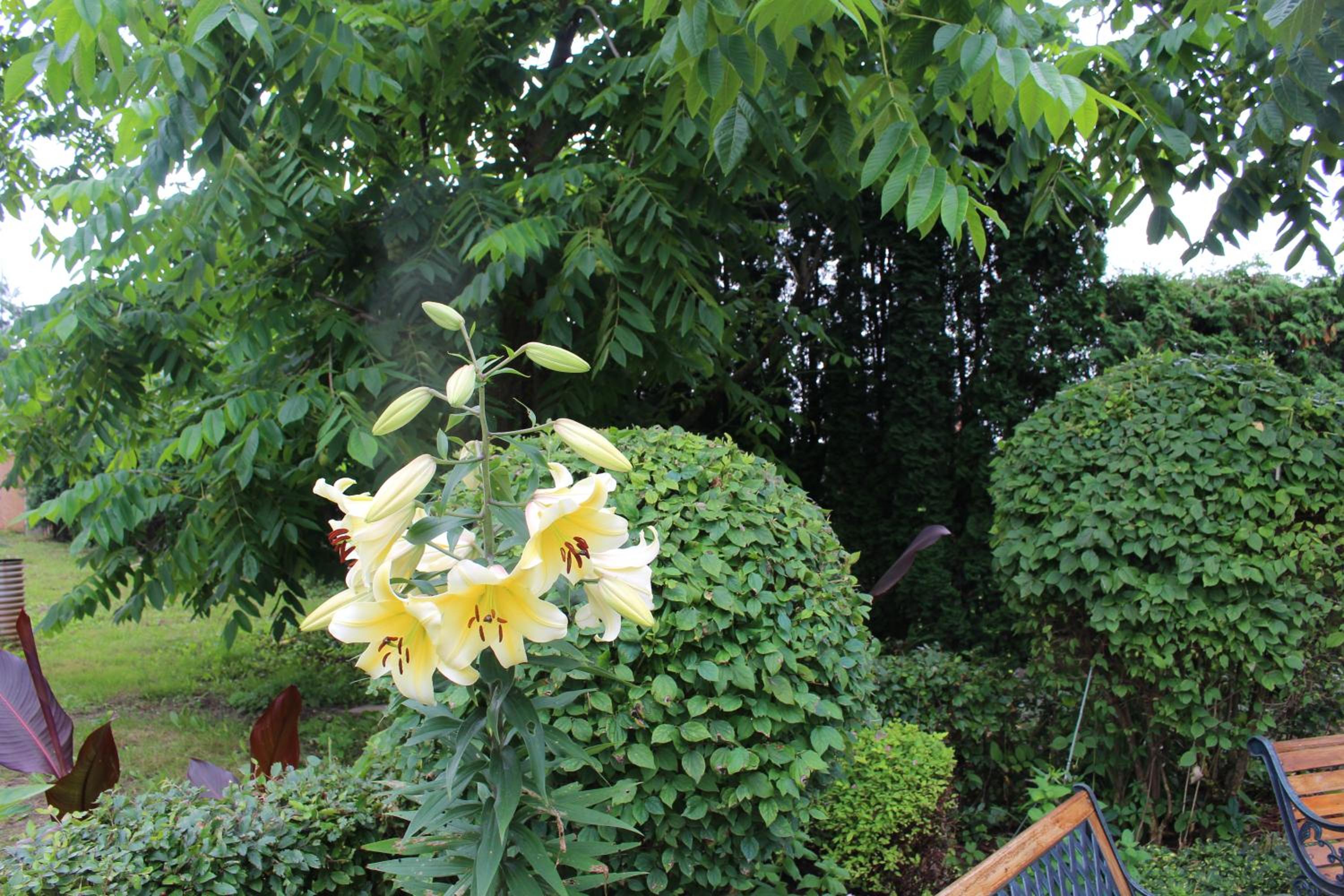 Photo 19