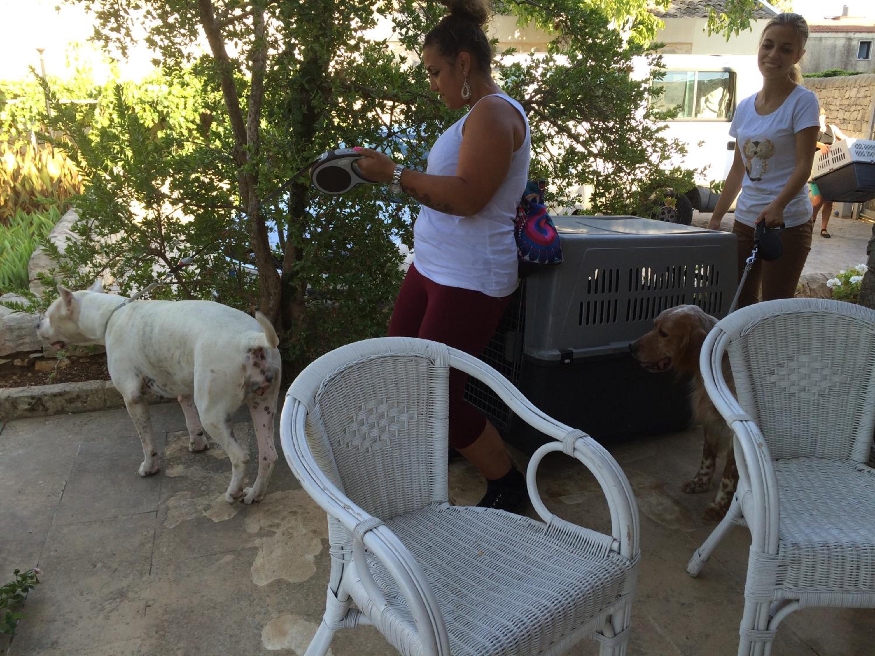 La Piccola Locanda, photo 79