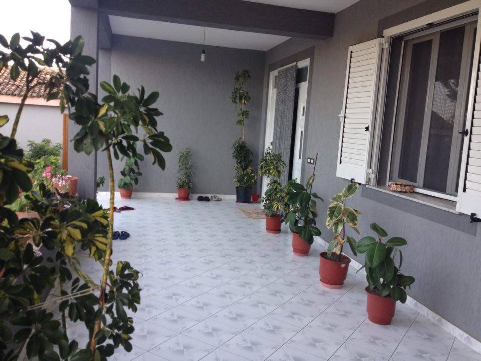 Guesthouse Anila