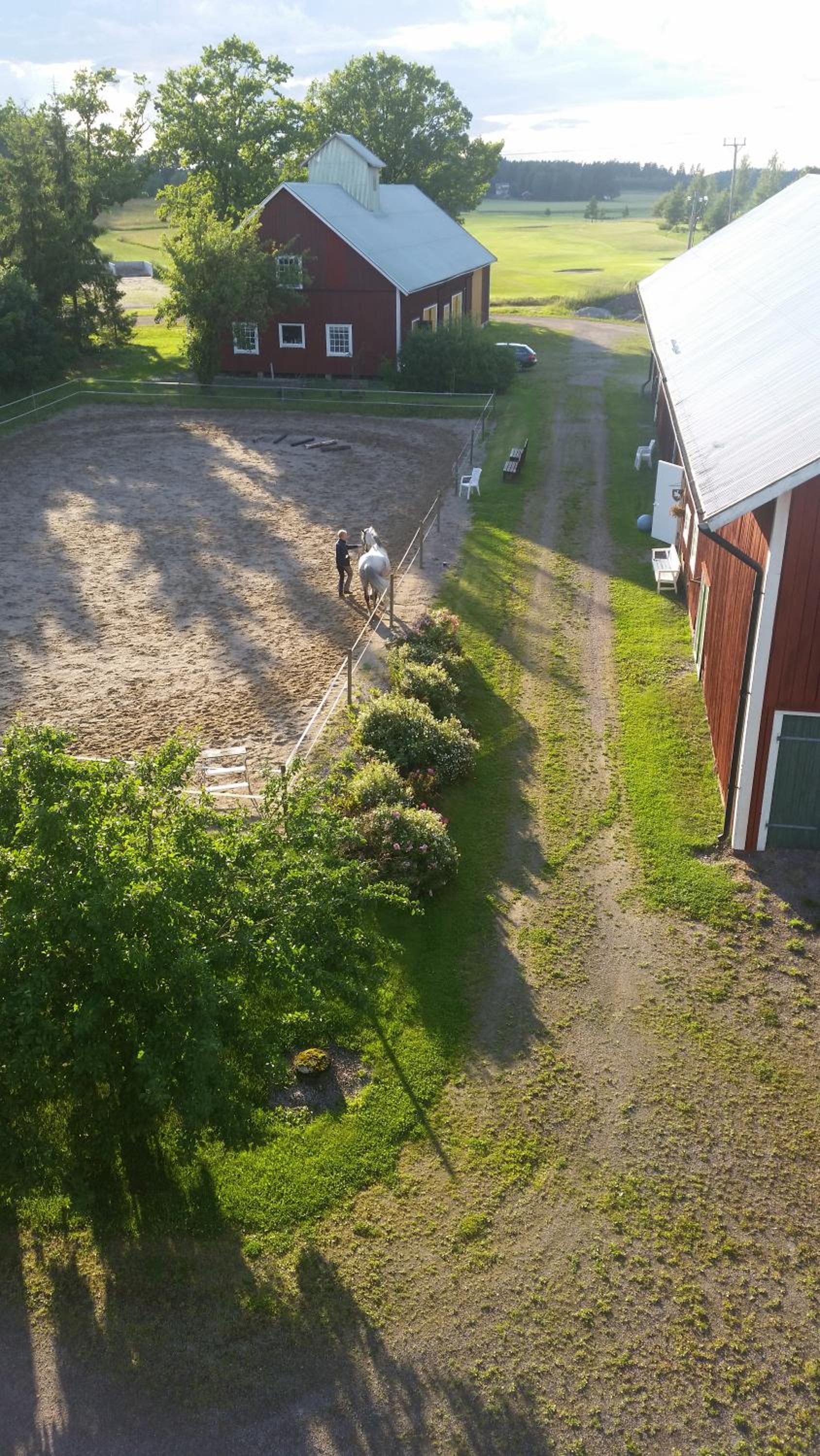 Photo 20