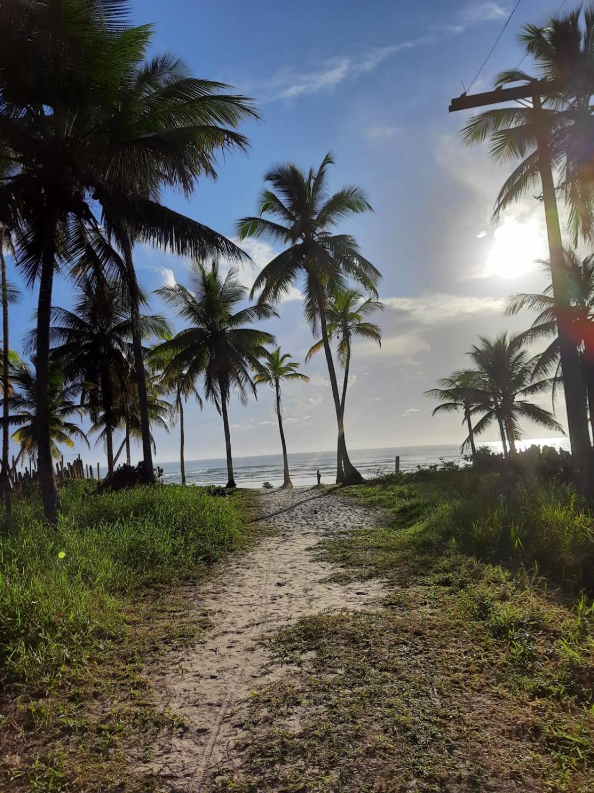 Doce temporada Ilhéus Bahia