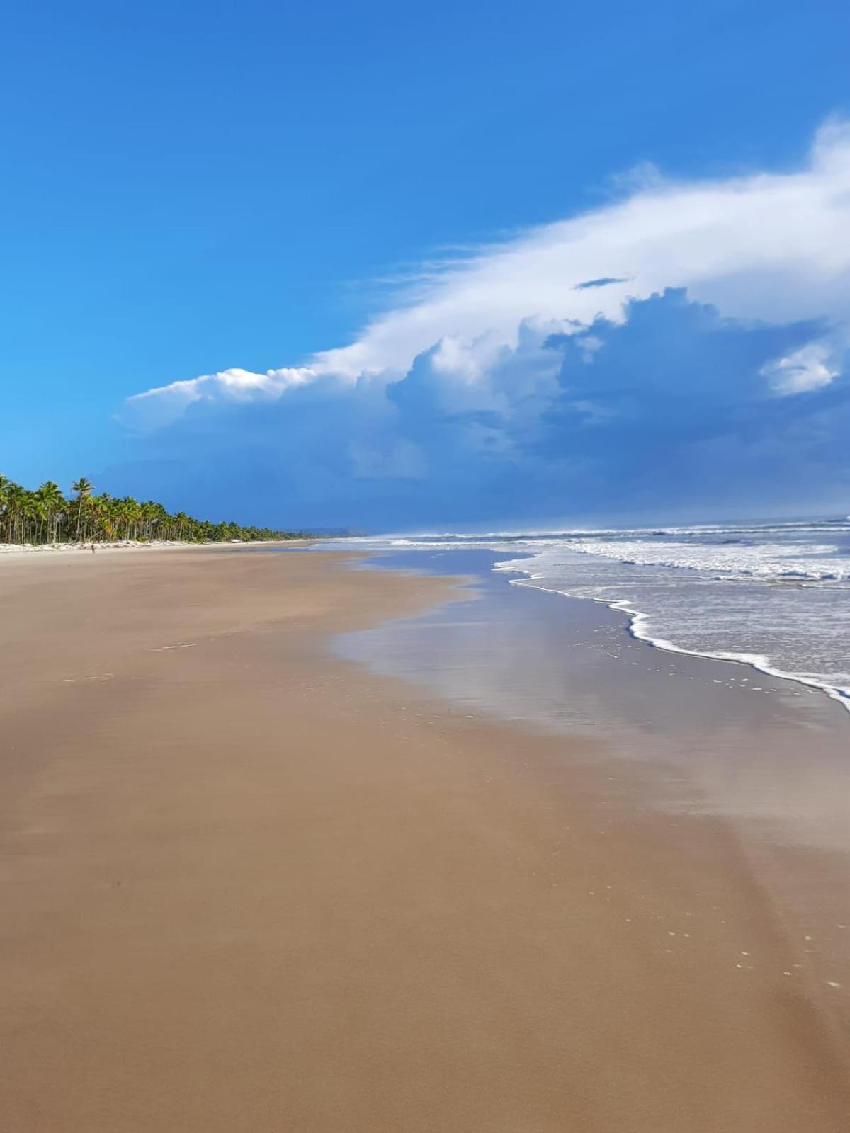 Doce temporada Ilhéus Bahia