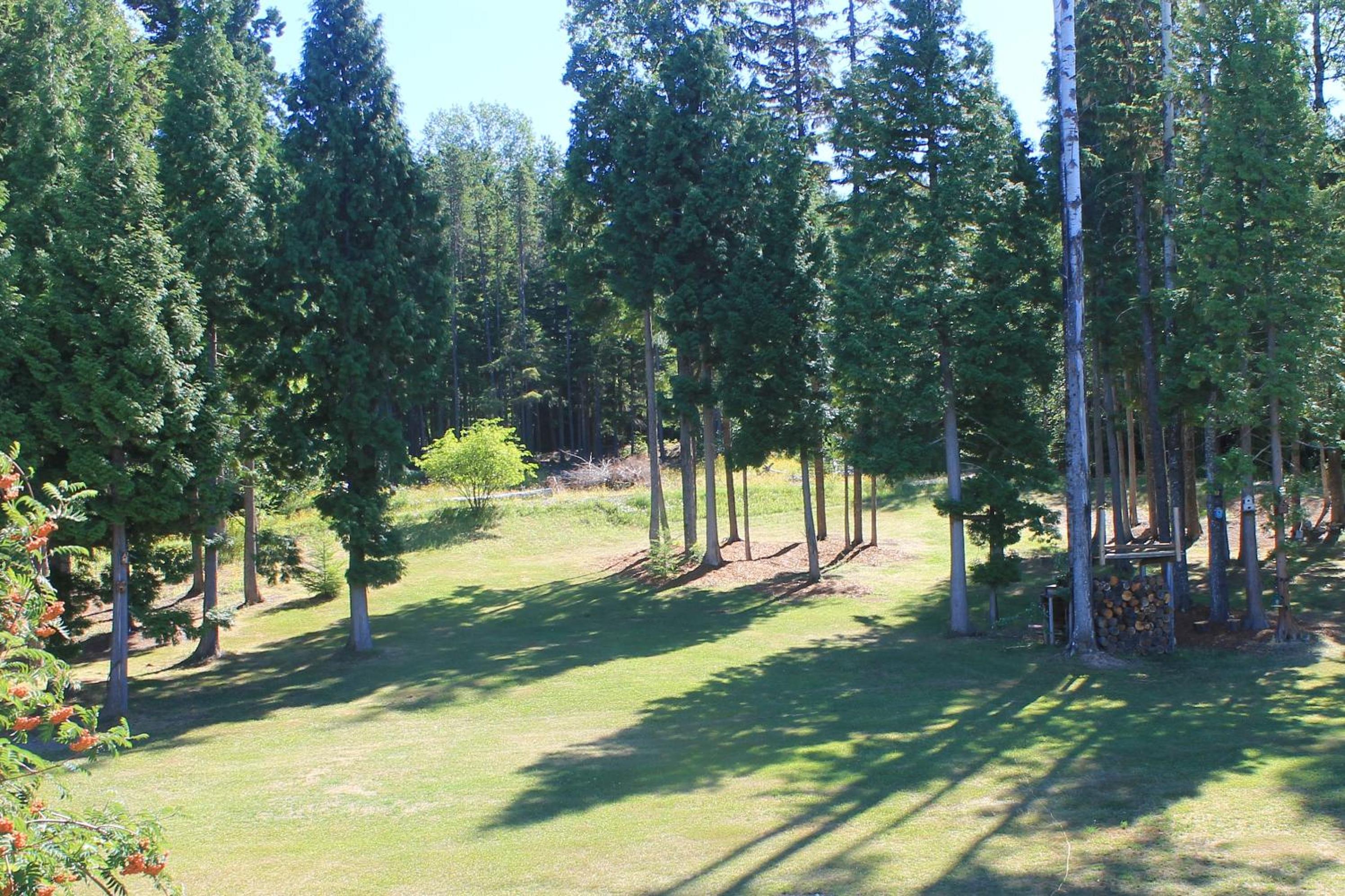 Remo Ridge Bed N Breakfast