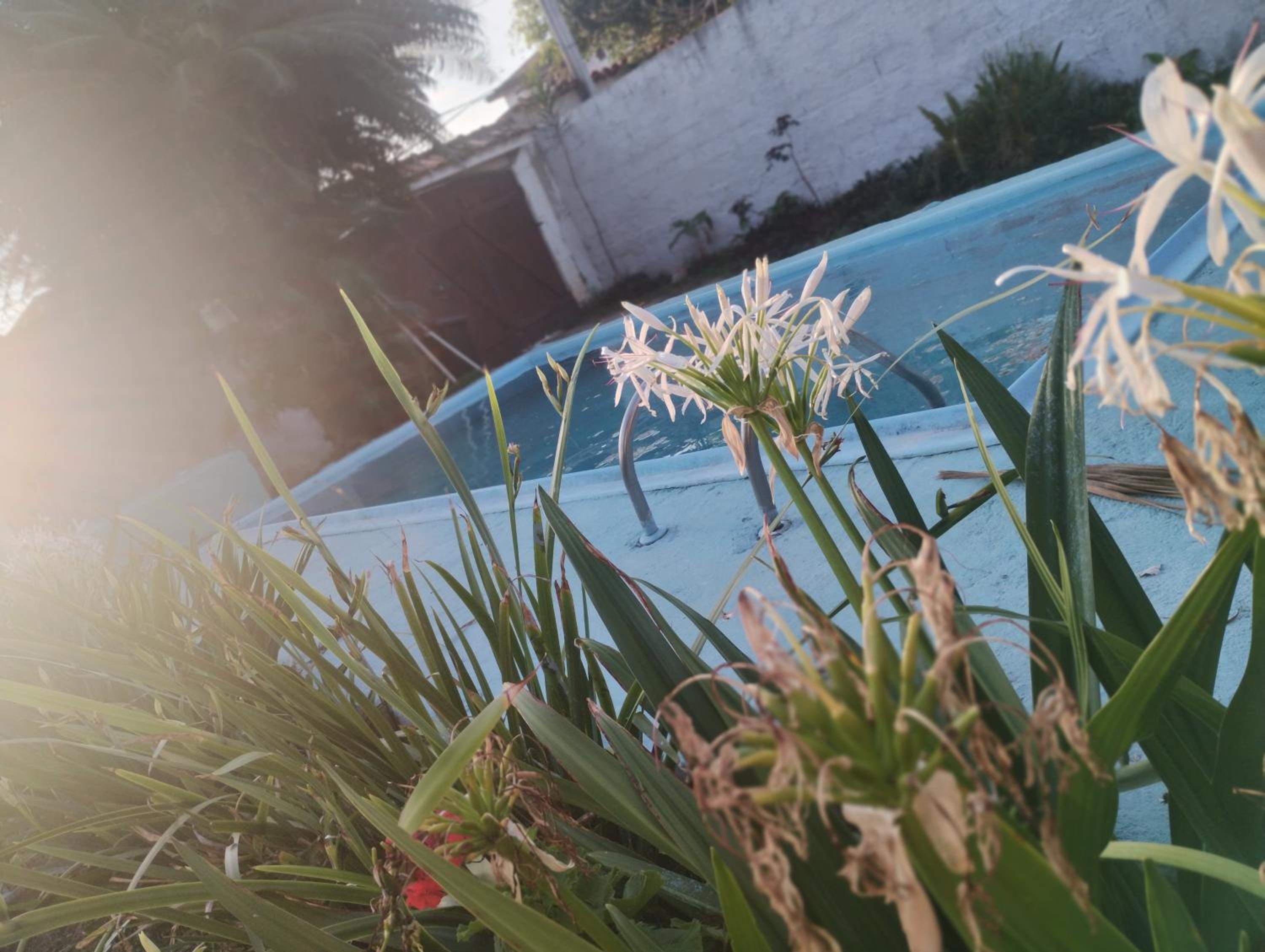 Casa Aloha Barra