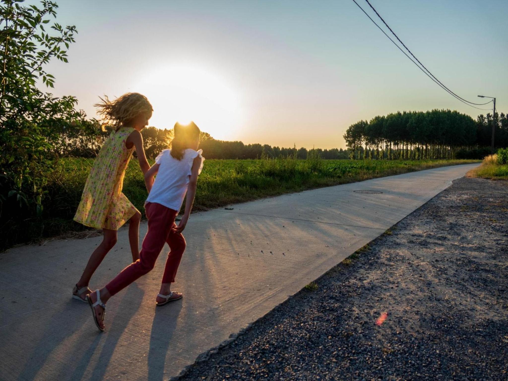 Apartment with a view of alpacas
