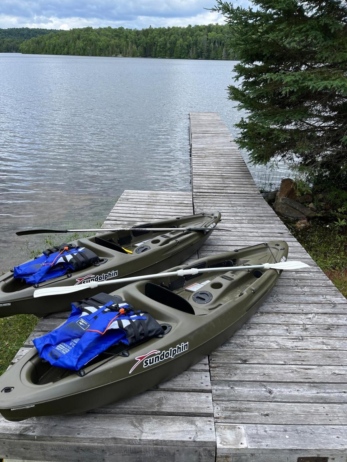 Chalet familial forêt & kayak