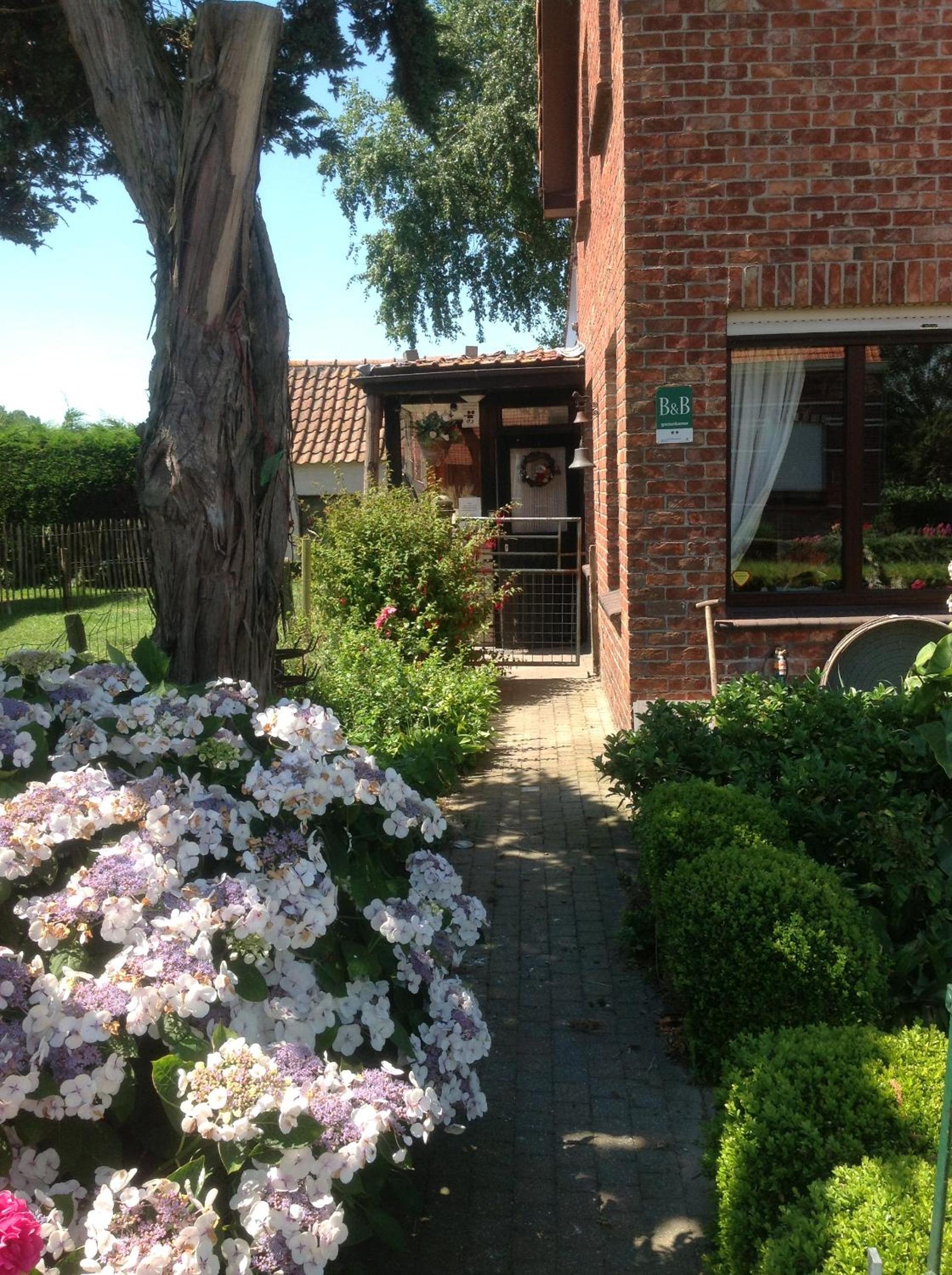 B&B CountryHeART