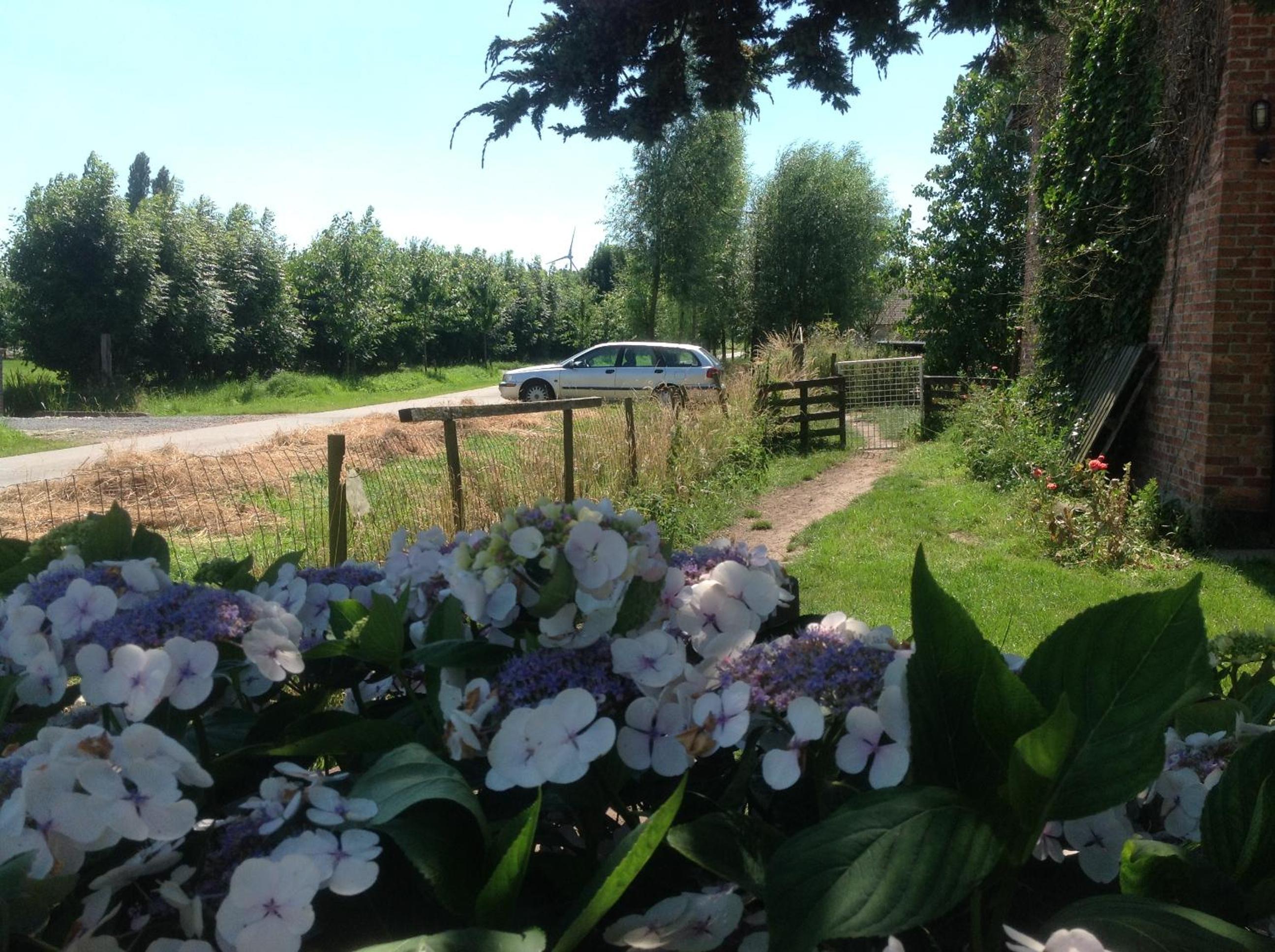 B&B CountryHeART
