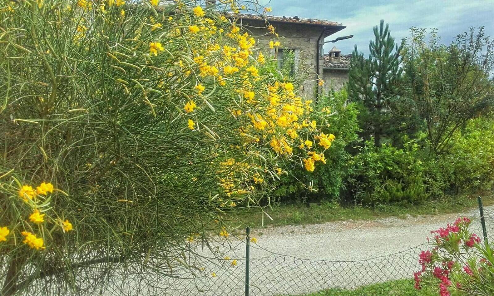Photo 27